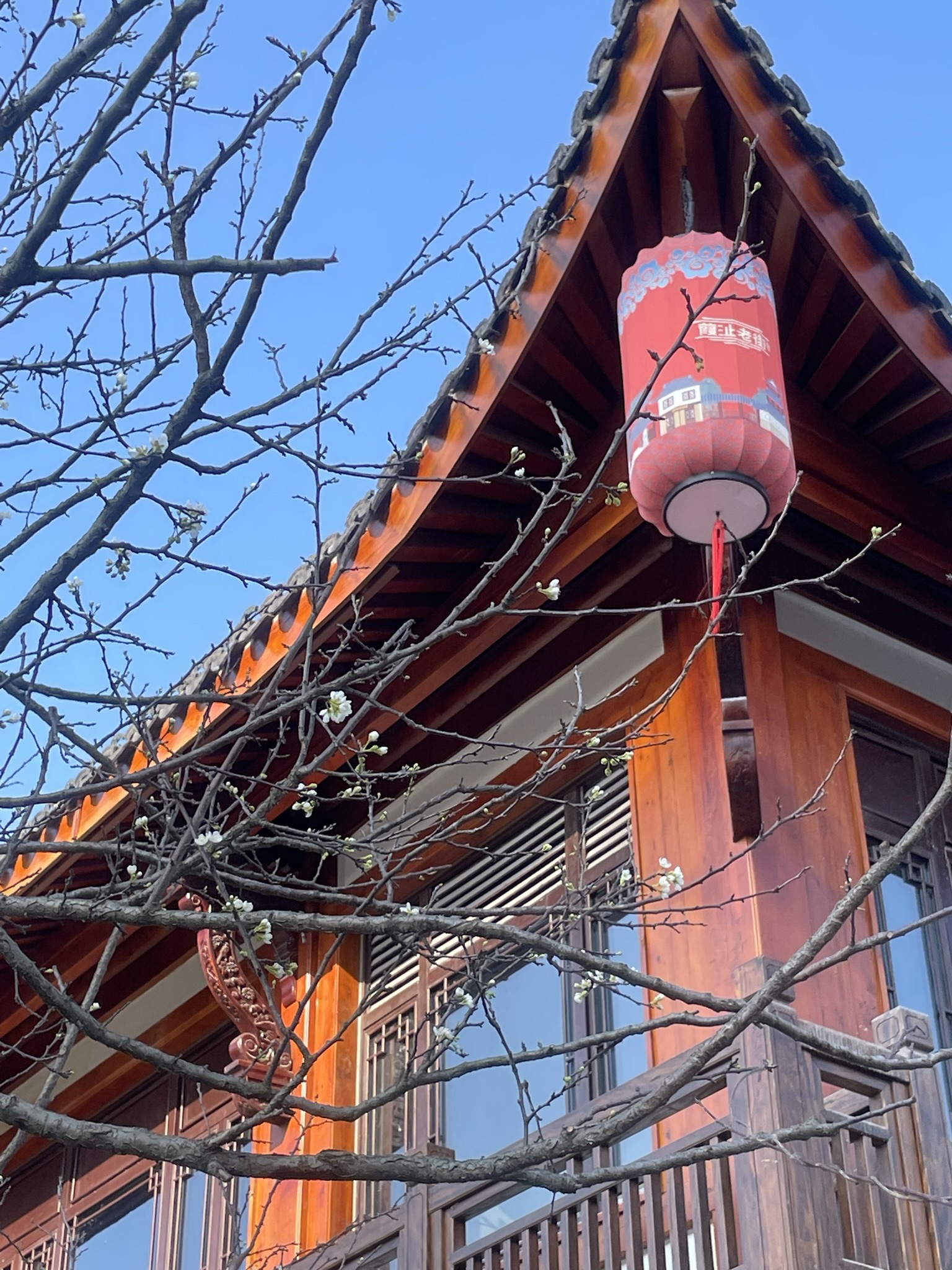 葭沚老街旅行图片 3