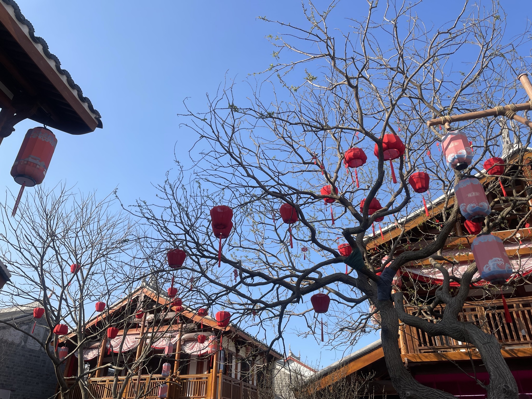 葭沚老街旅行图片 2