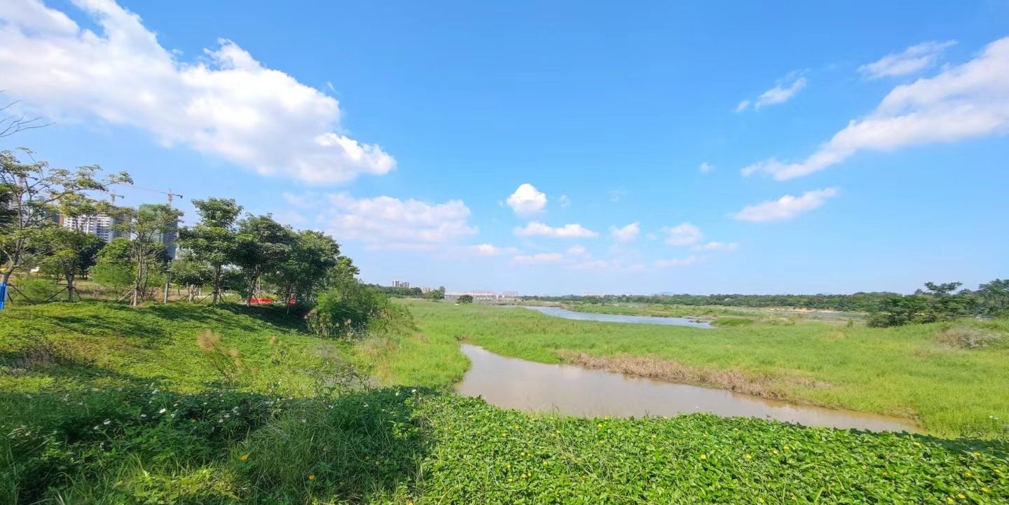 江滩公园旅行图片 2