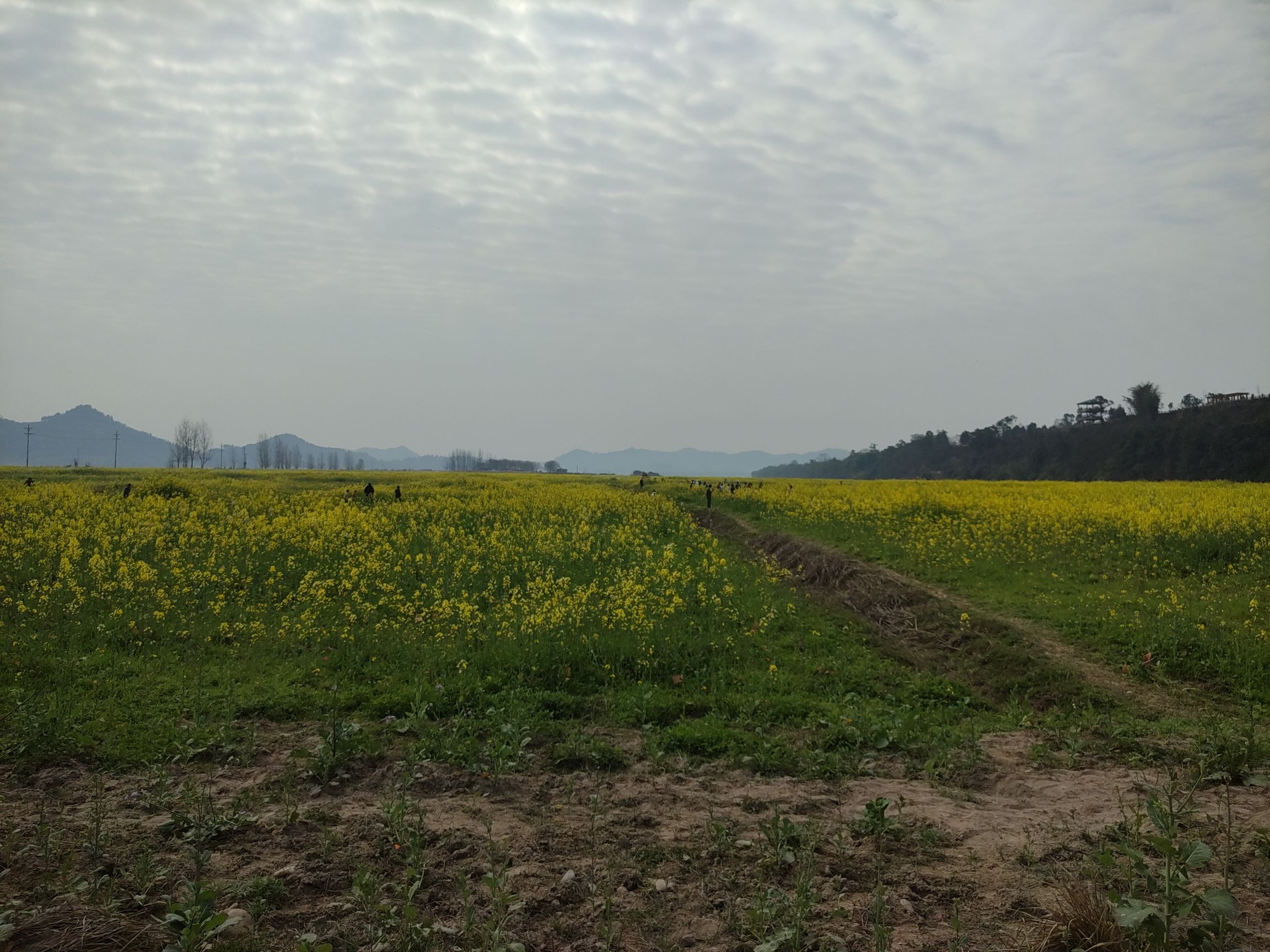 渔溪镇渔溪桥村太古岛旅行图片 3