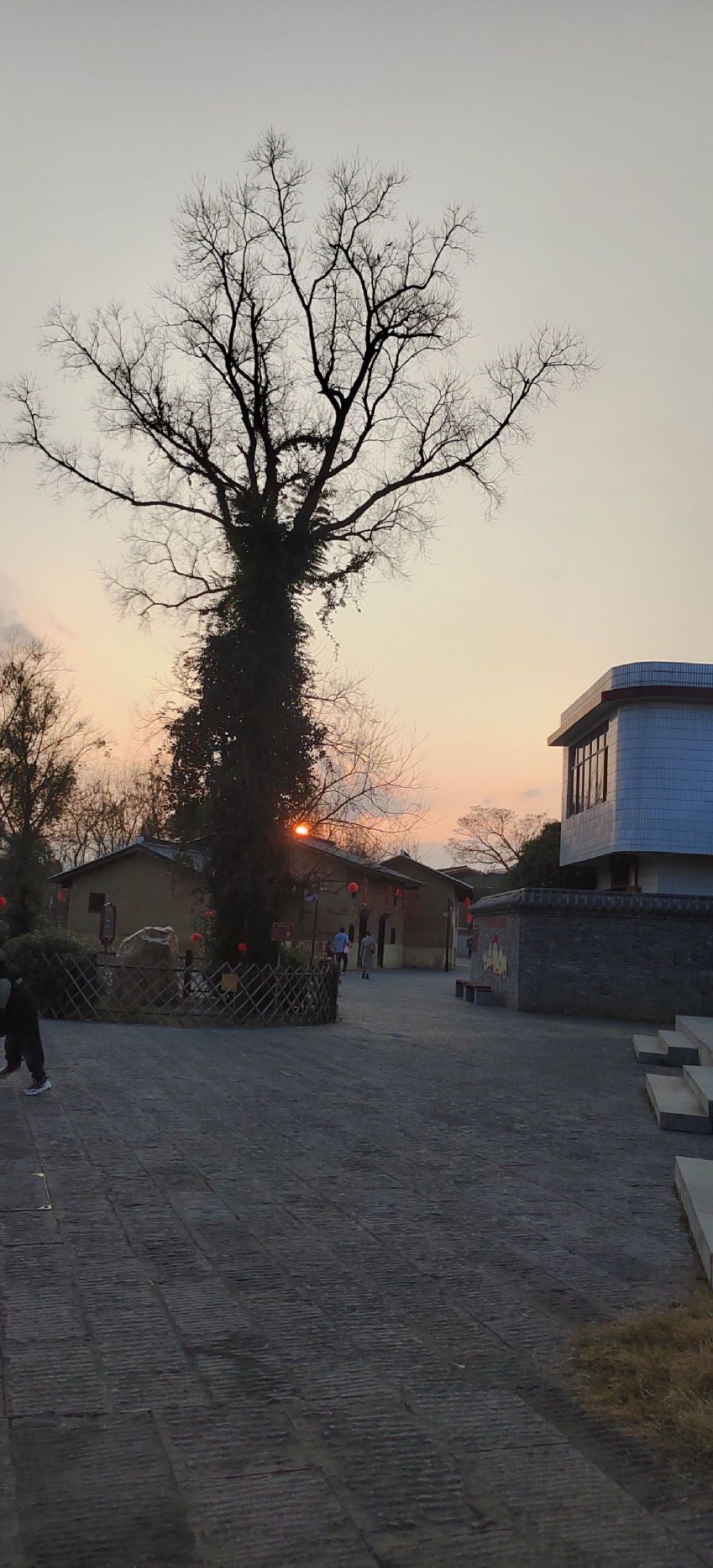 草林红圩特色小镇旅行图片 1