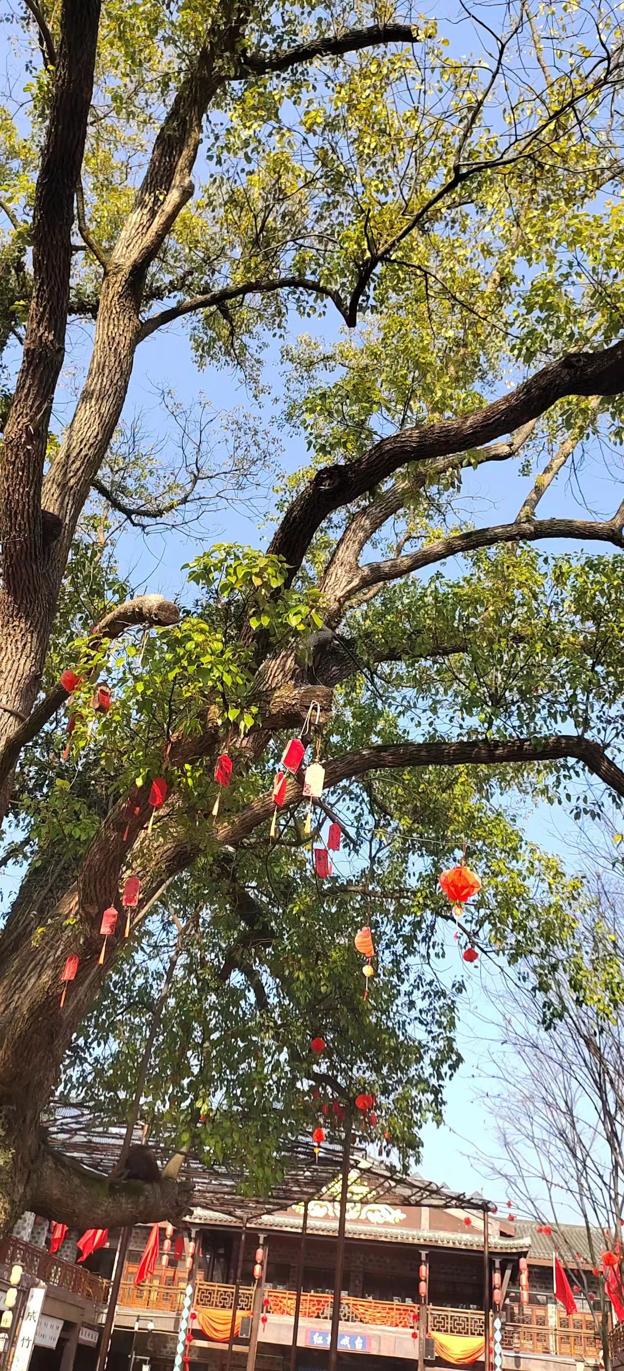 草林红圩特色小镇旅行图片 2