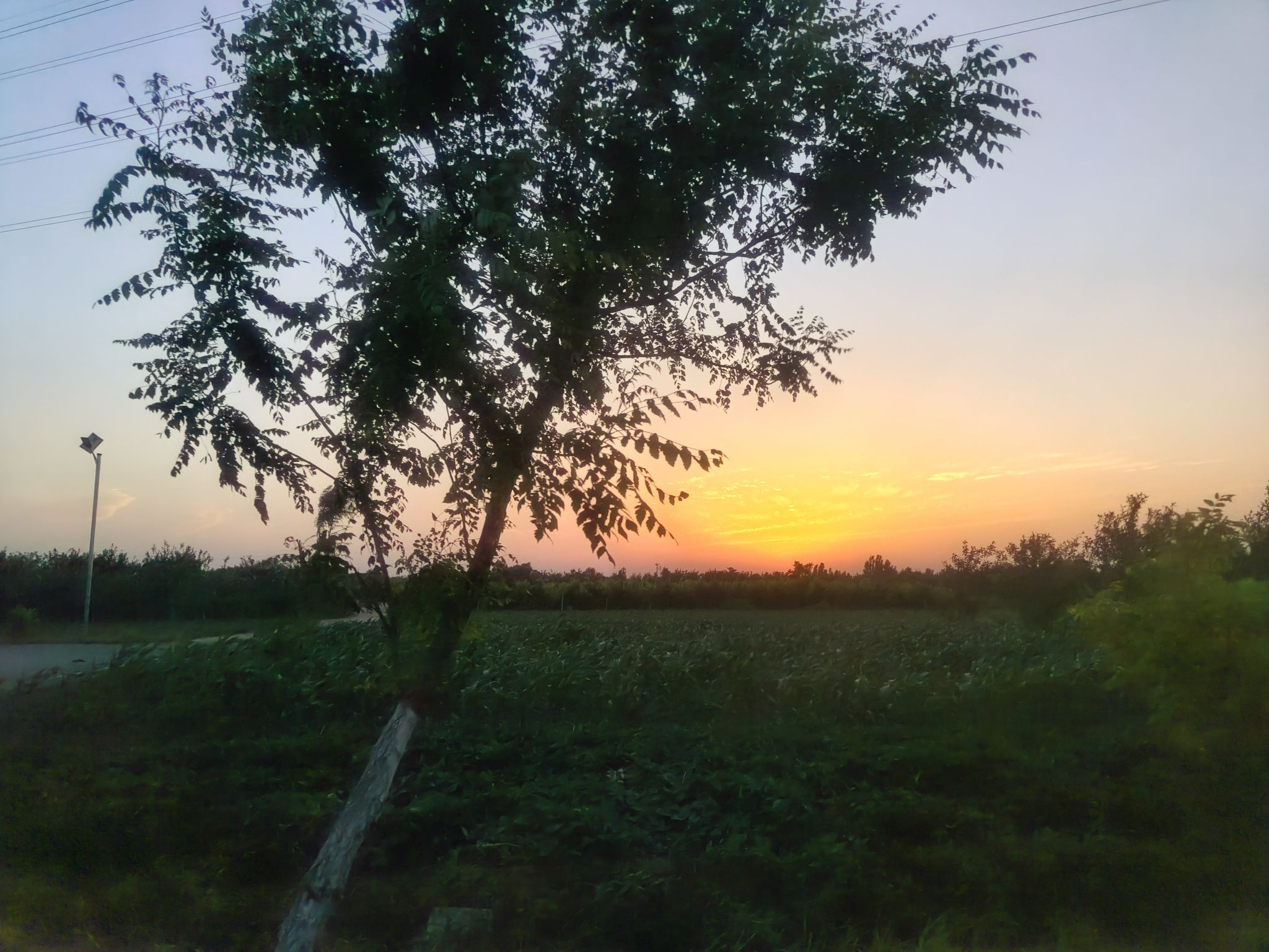 东刘家寨村桃花岛旅行图片 3
