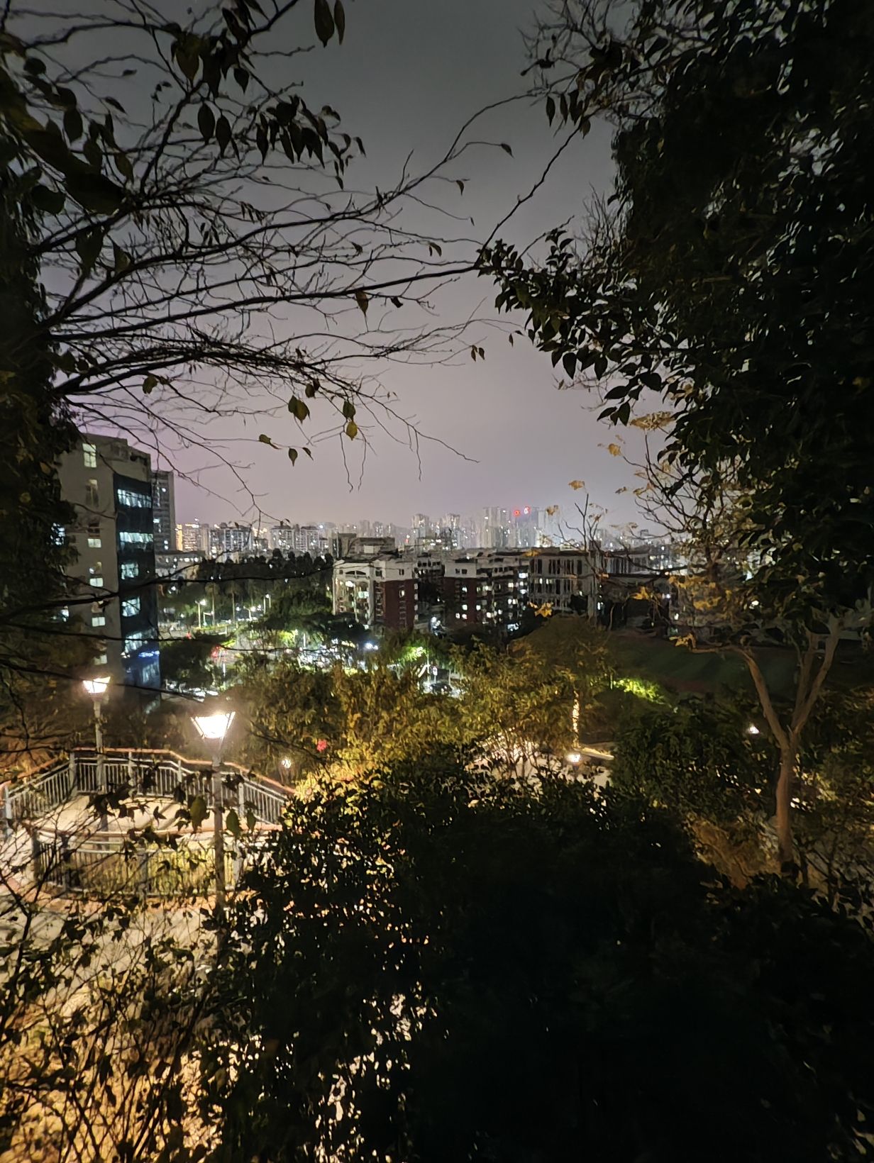 新华园小区口袋公园旅行图片 3