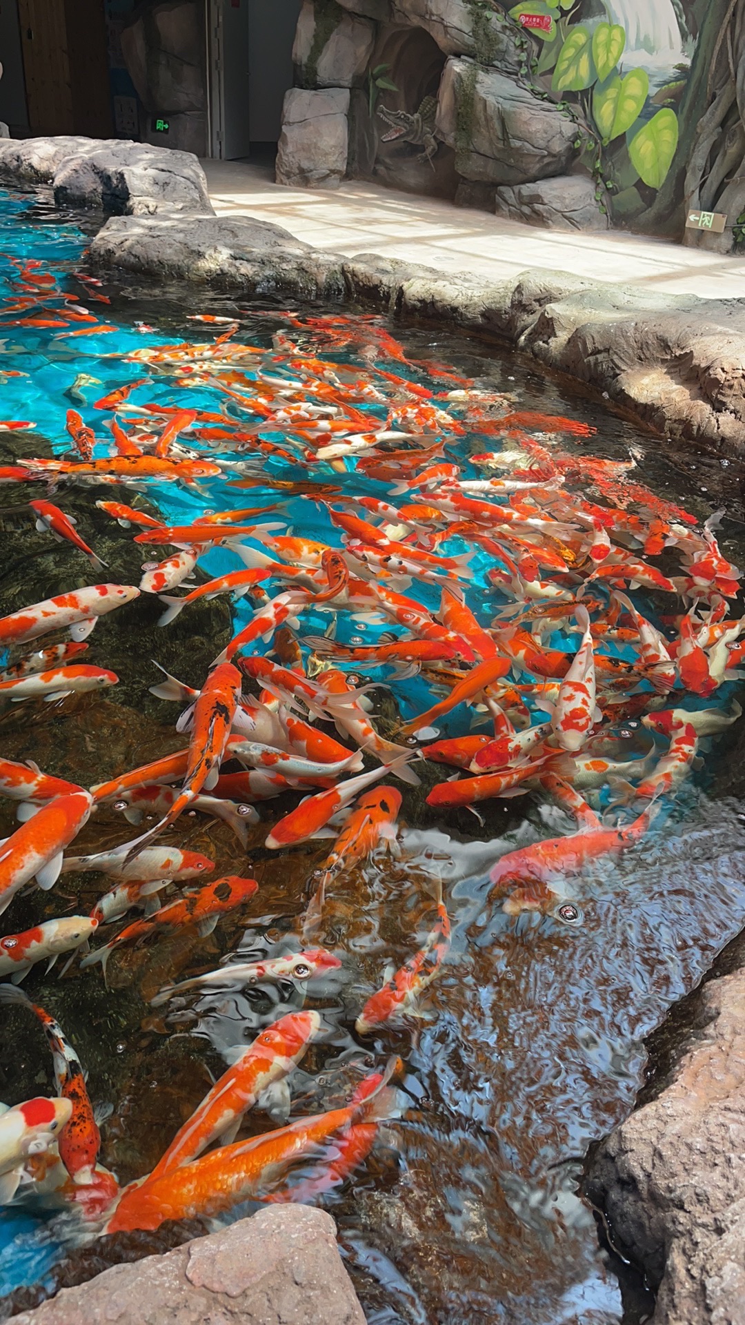 邢台海洋乐园旅行图片 1
