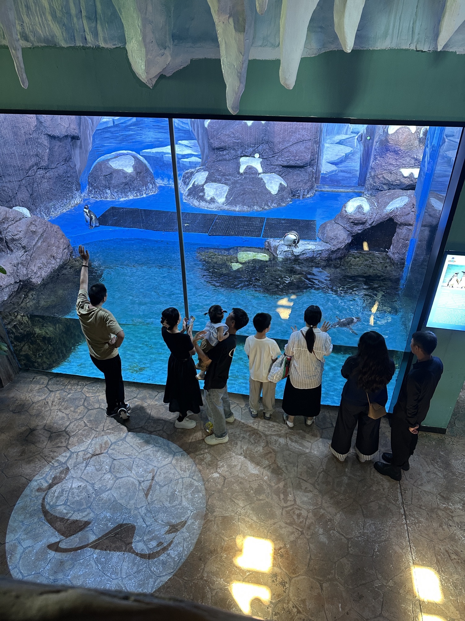 邢台海洋乐园旅行图片 2