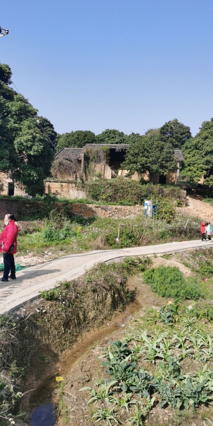 绿云景区旅行图片 2