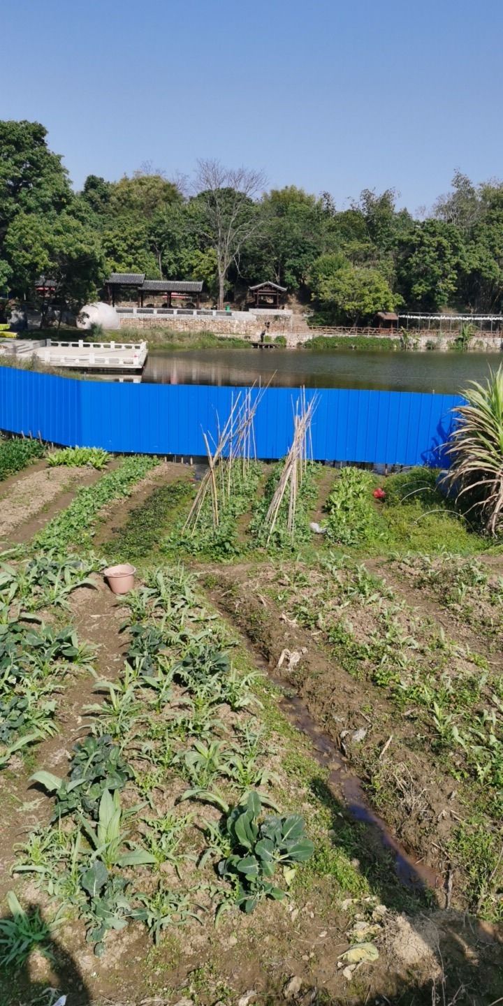 绿云景区旅行图片 1