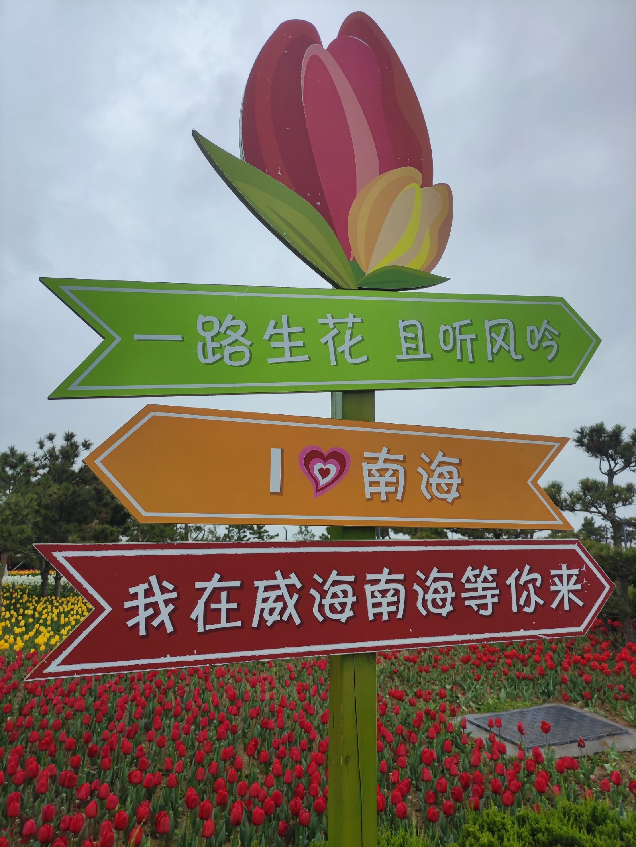 郁金香广场旅行图片 1