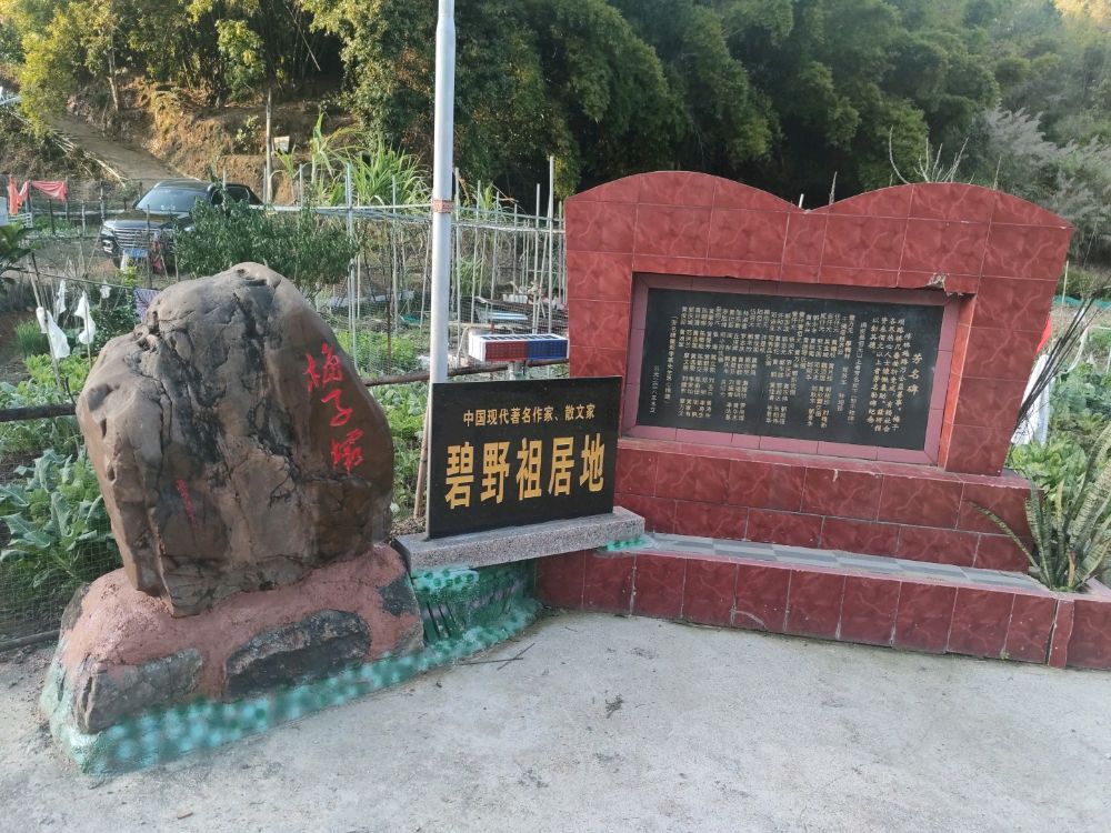 碧野故里旅行图片 1