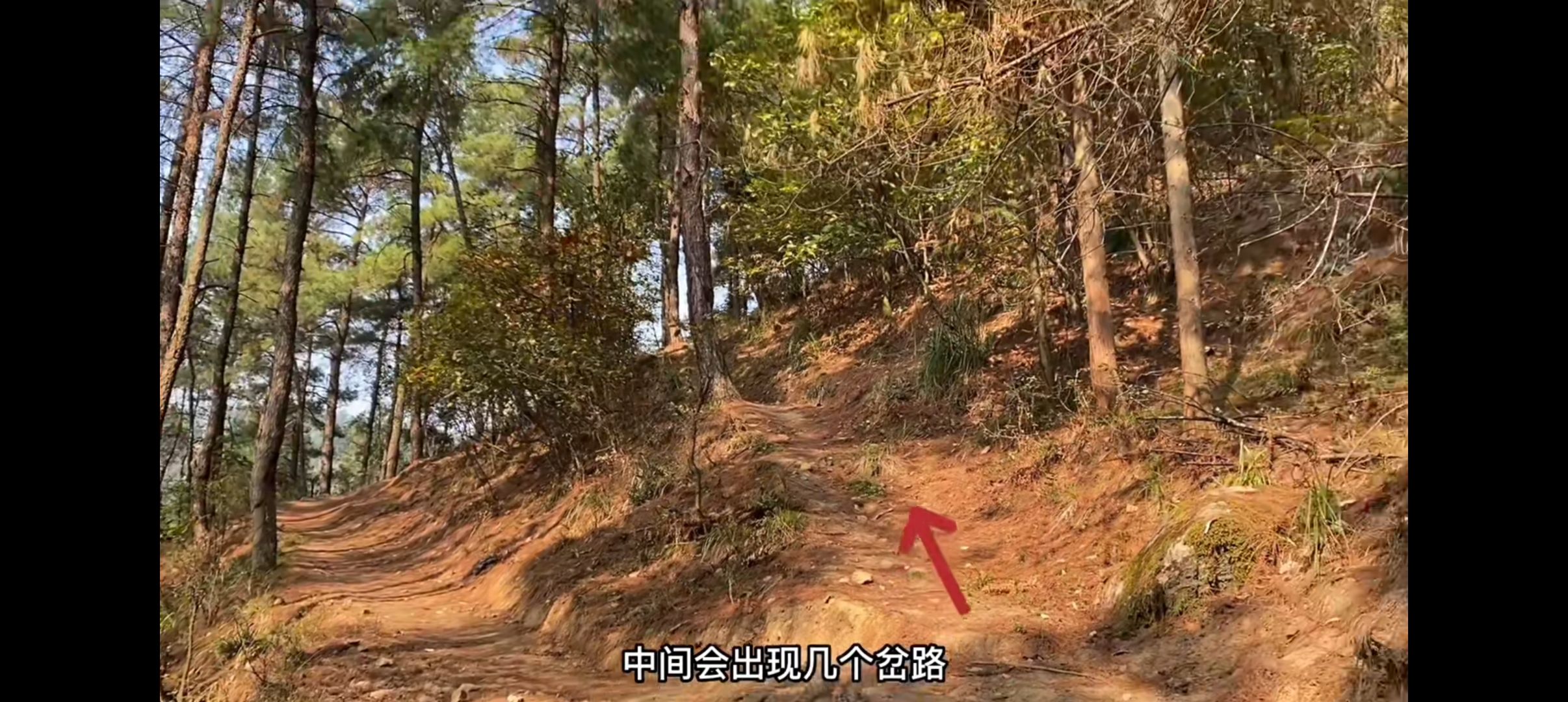 万年观音洞旅行图片 2