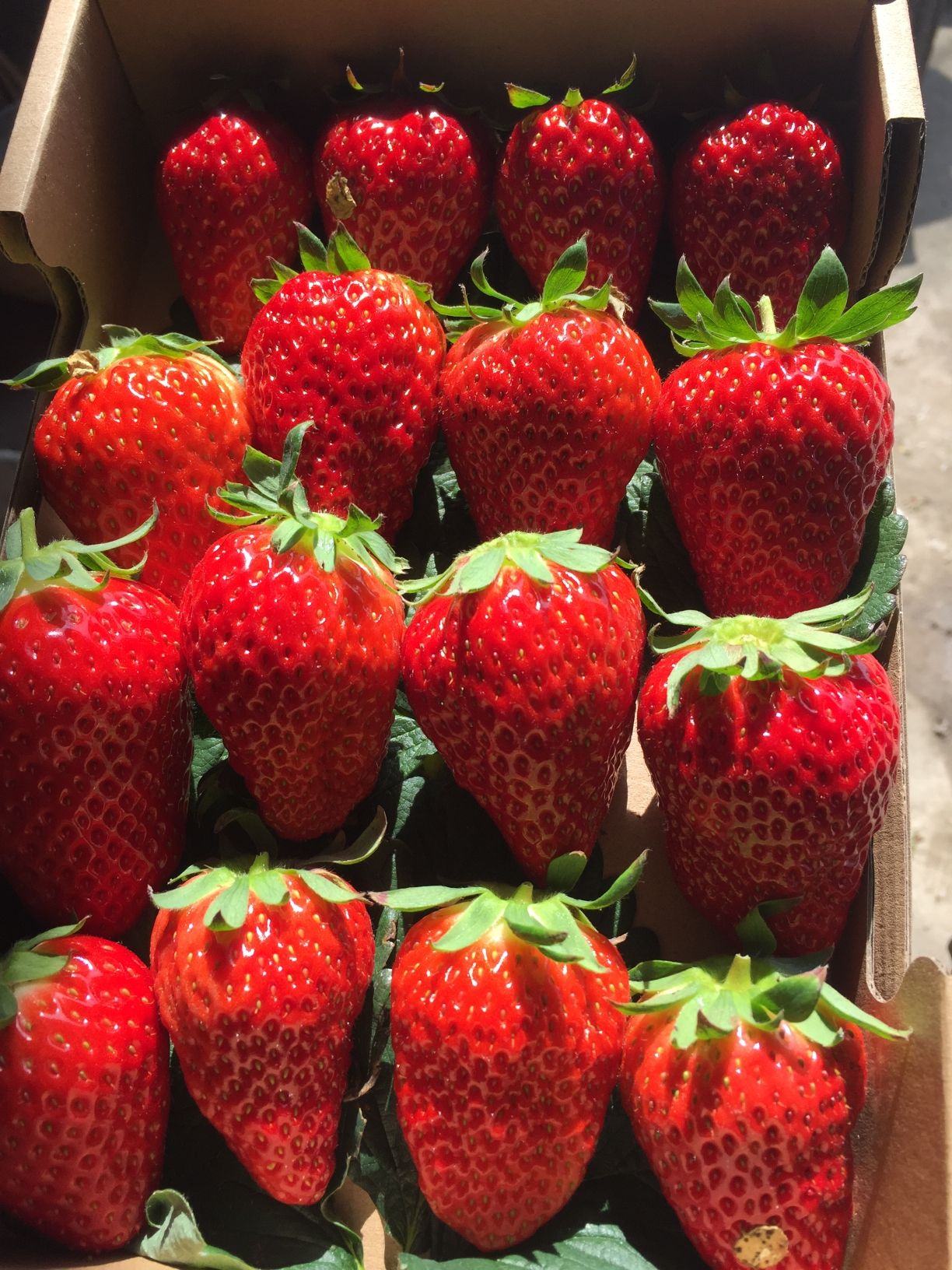 丽水市下概头家庭农场