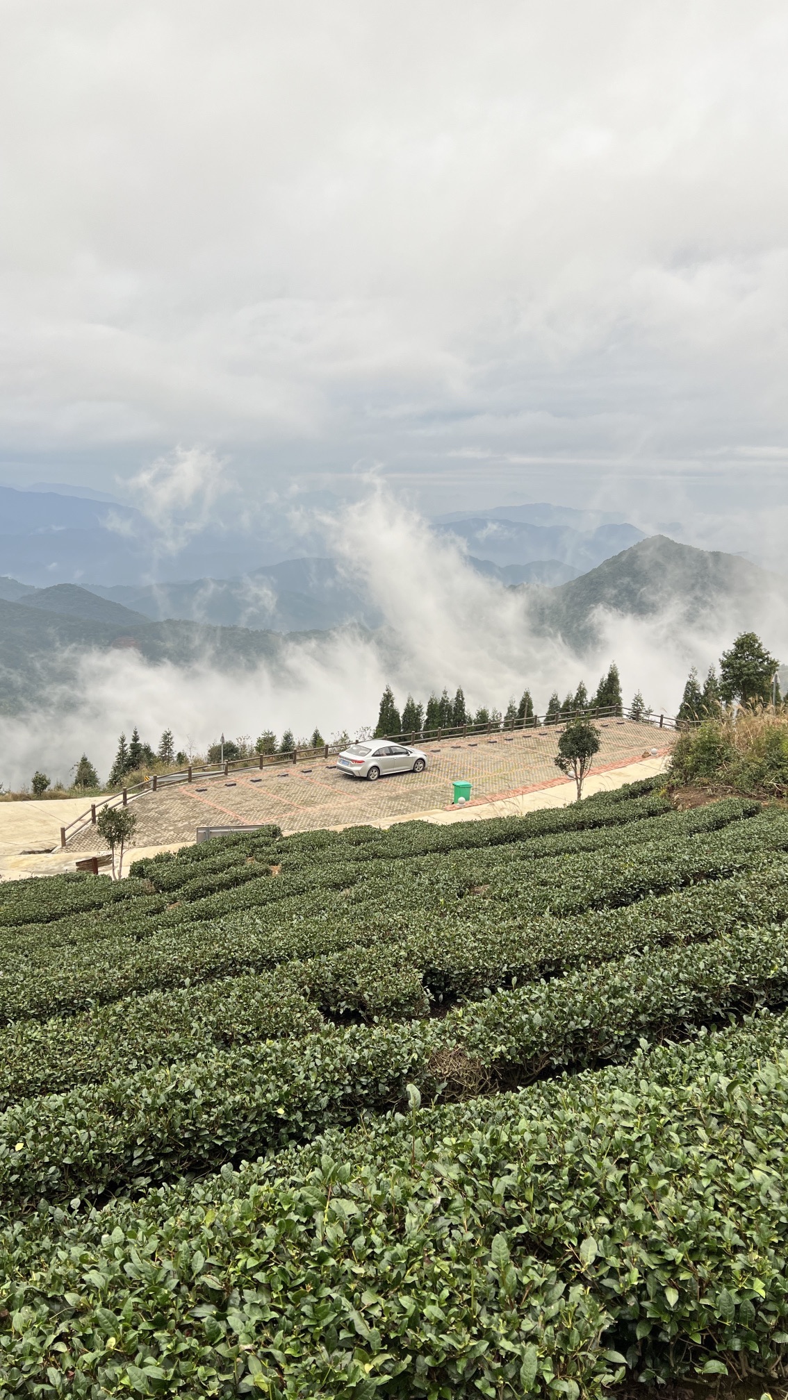 云路雪山茶山公园旅行图片 3