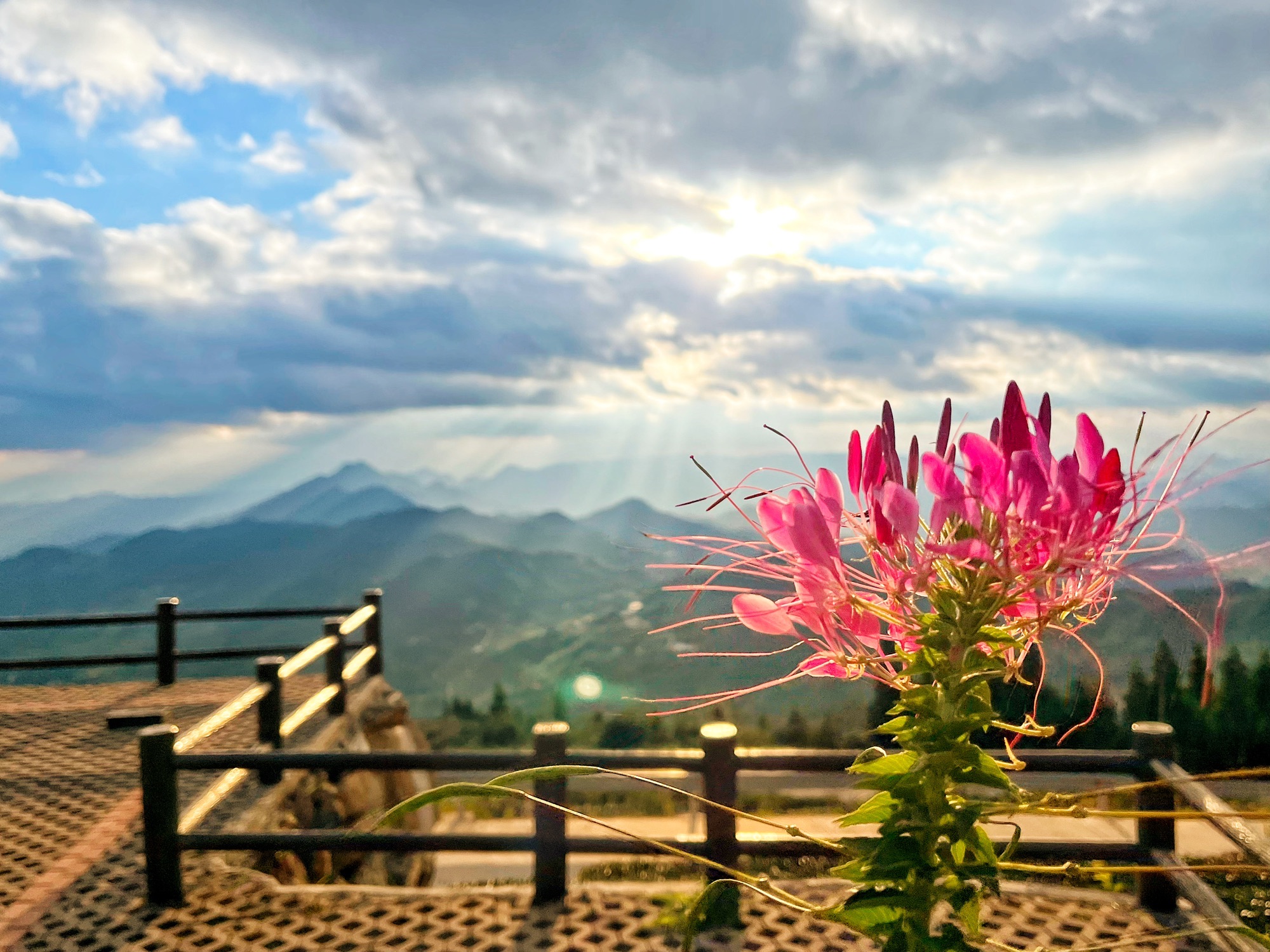 云路雪山茶山公园旅行图片 2