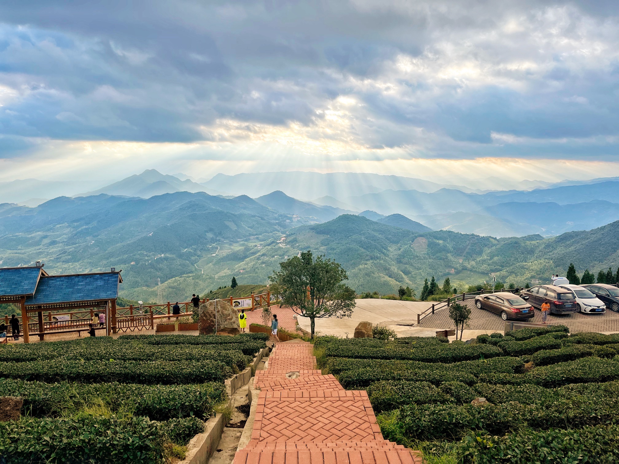 云路雪山茶山公园旅行图片 3
