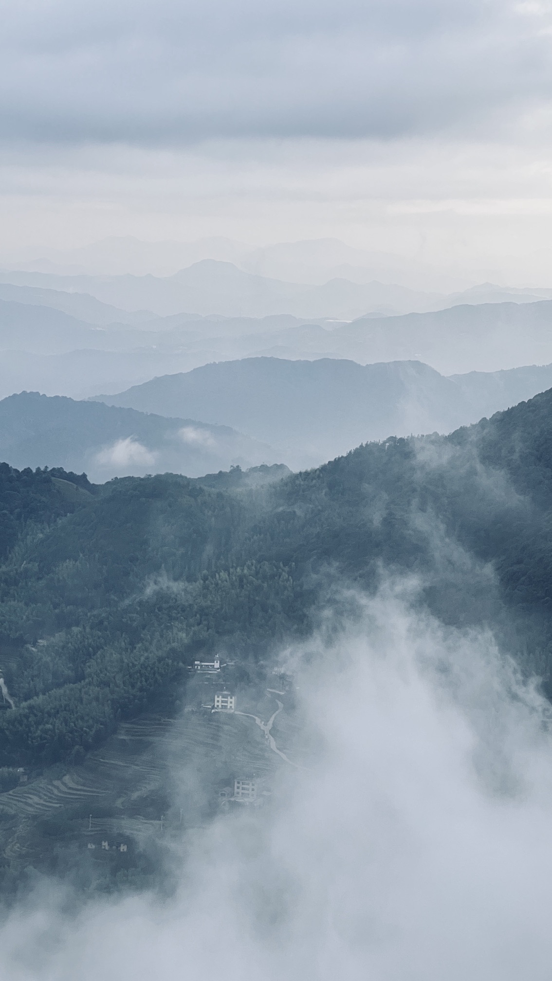 云路雪山茶山公园旅行图片 2