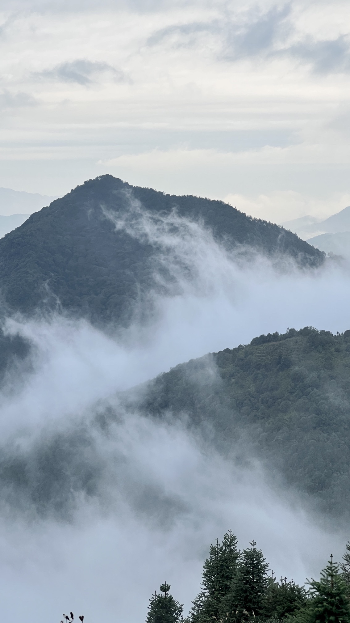 云路雪山茶山公园旅行图片 1