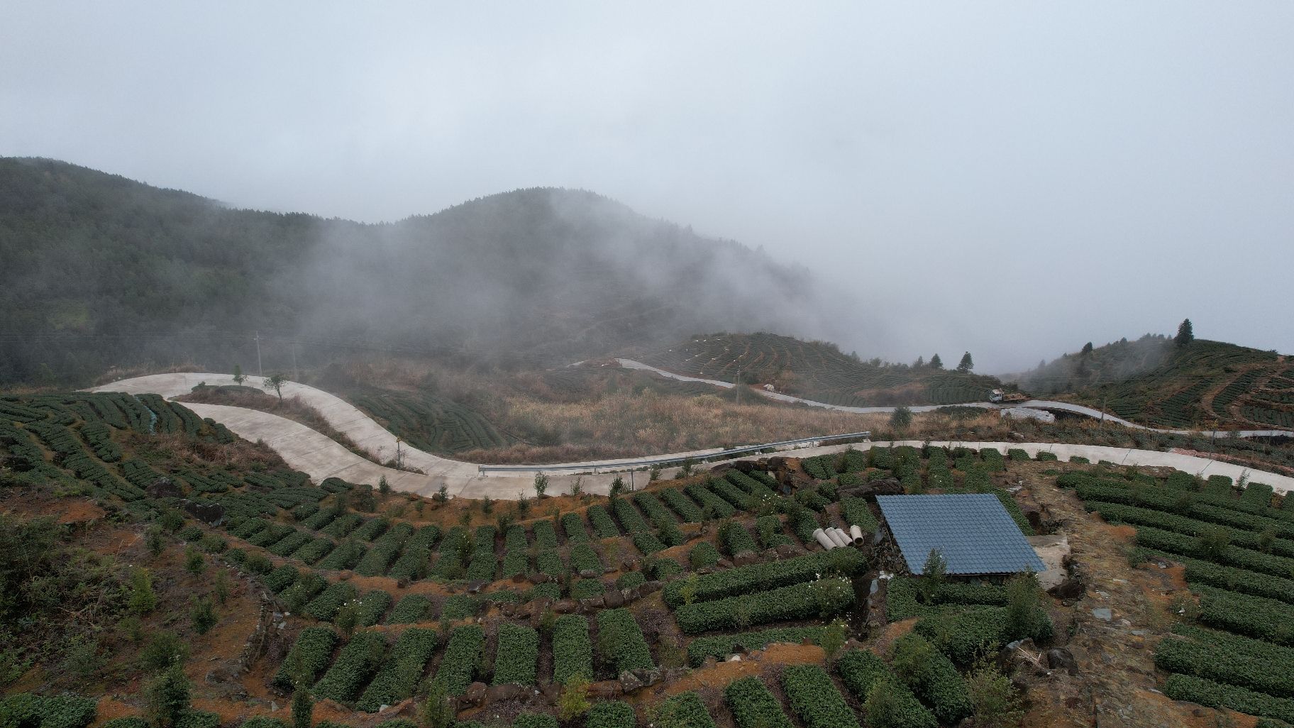云路雪山茶山公园旅行图片 3
