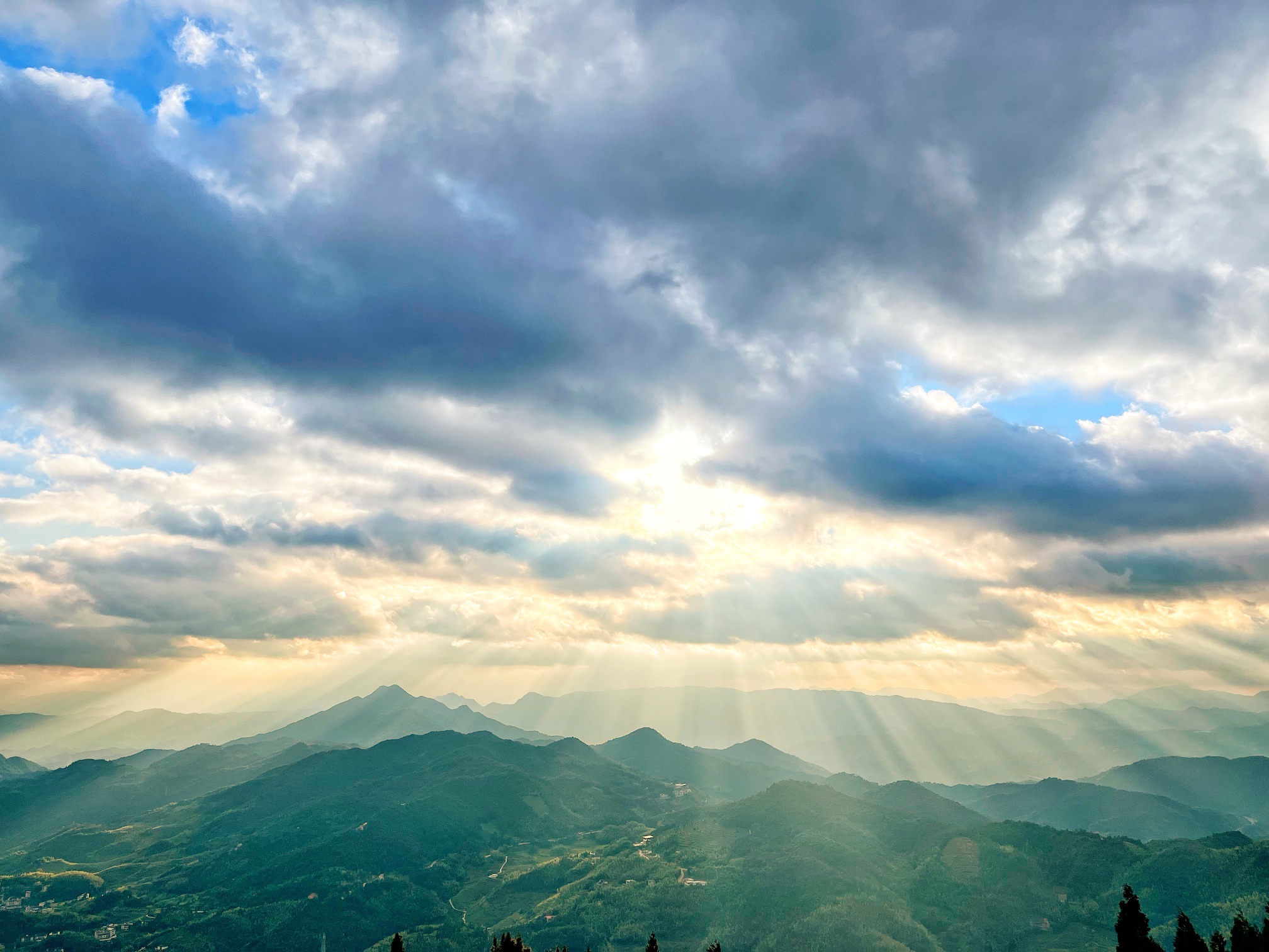 云路雪山茶山公园旅行图片 1