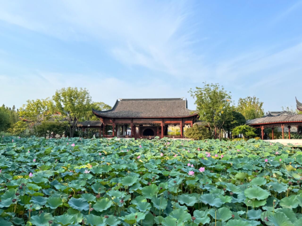上海滨江森林公园二期