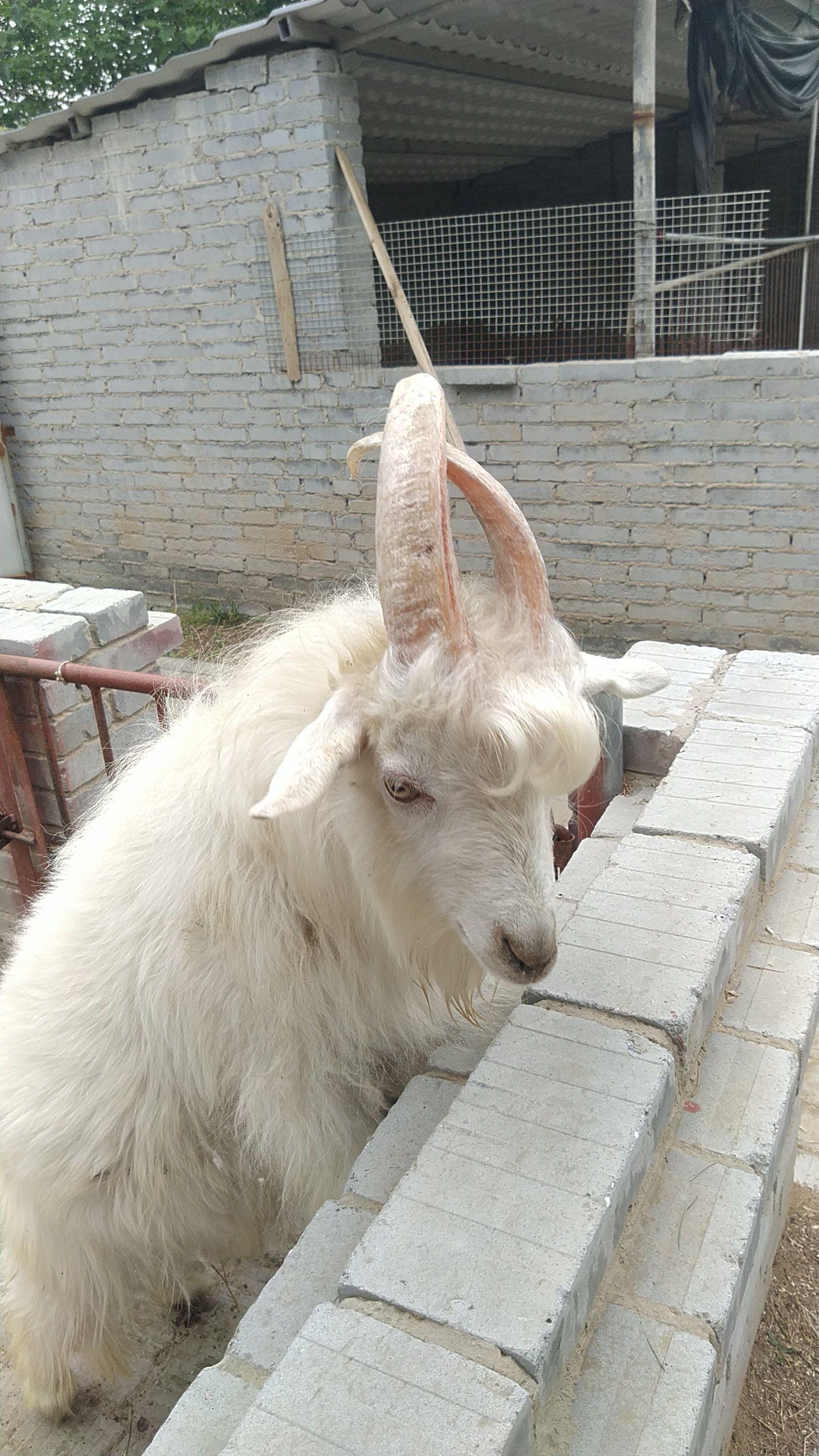 原阳县华宝文化园旅行图片 3