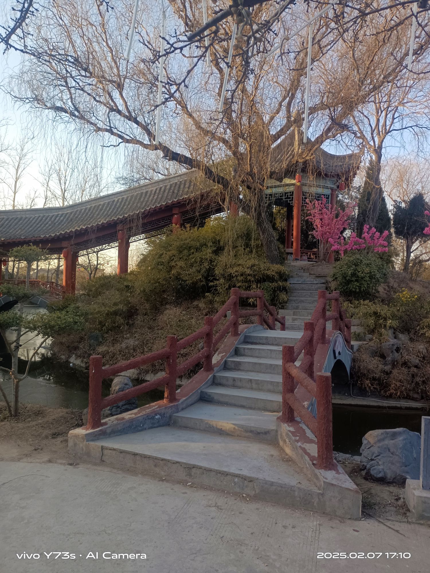 原阳县华宝文化园旅行图片 2