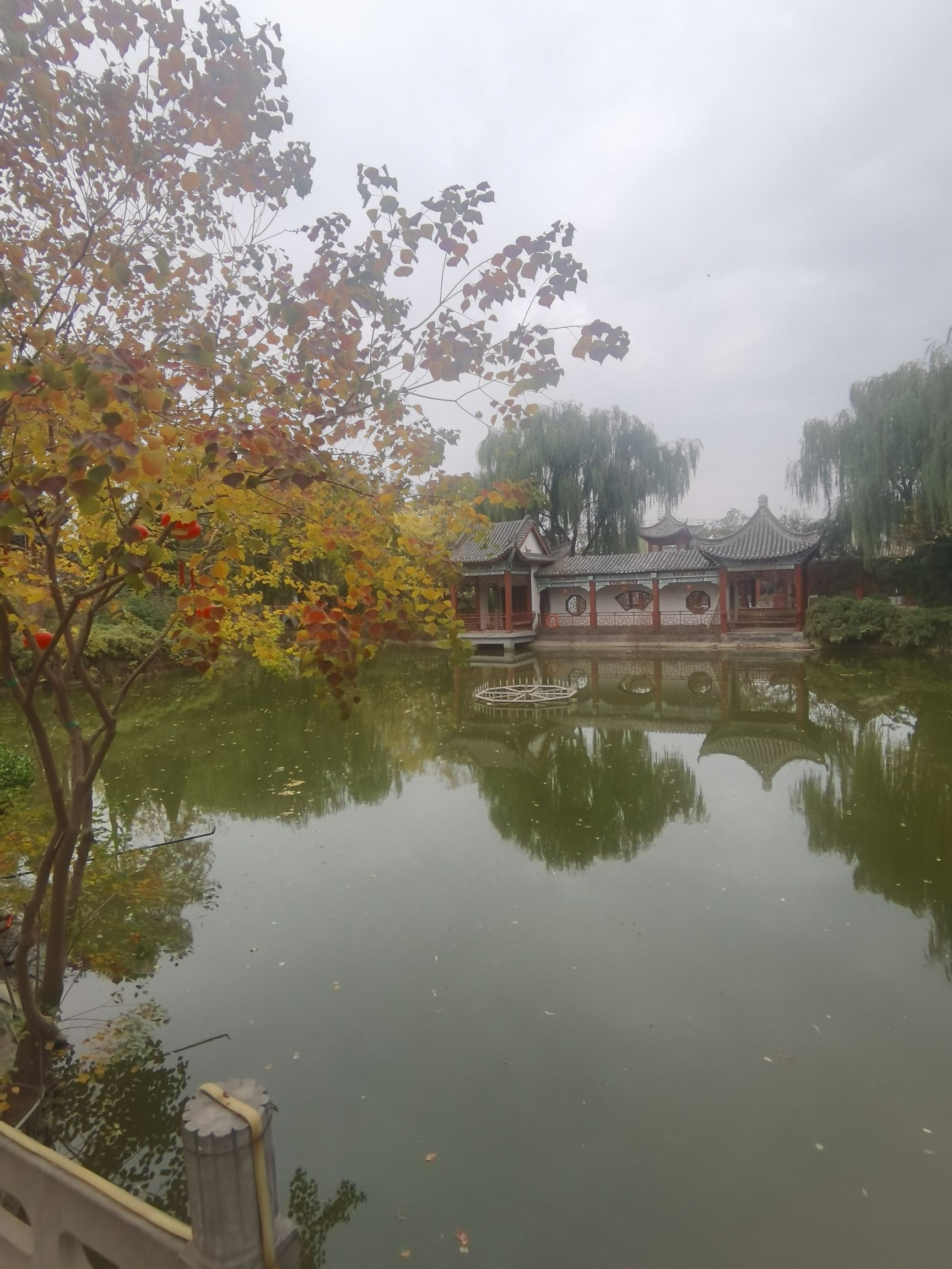原阳县华宝文化园旅行图片 3