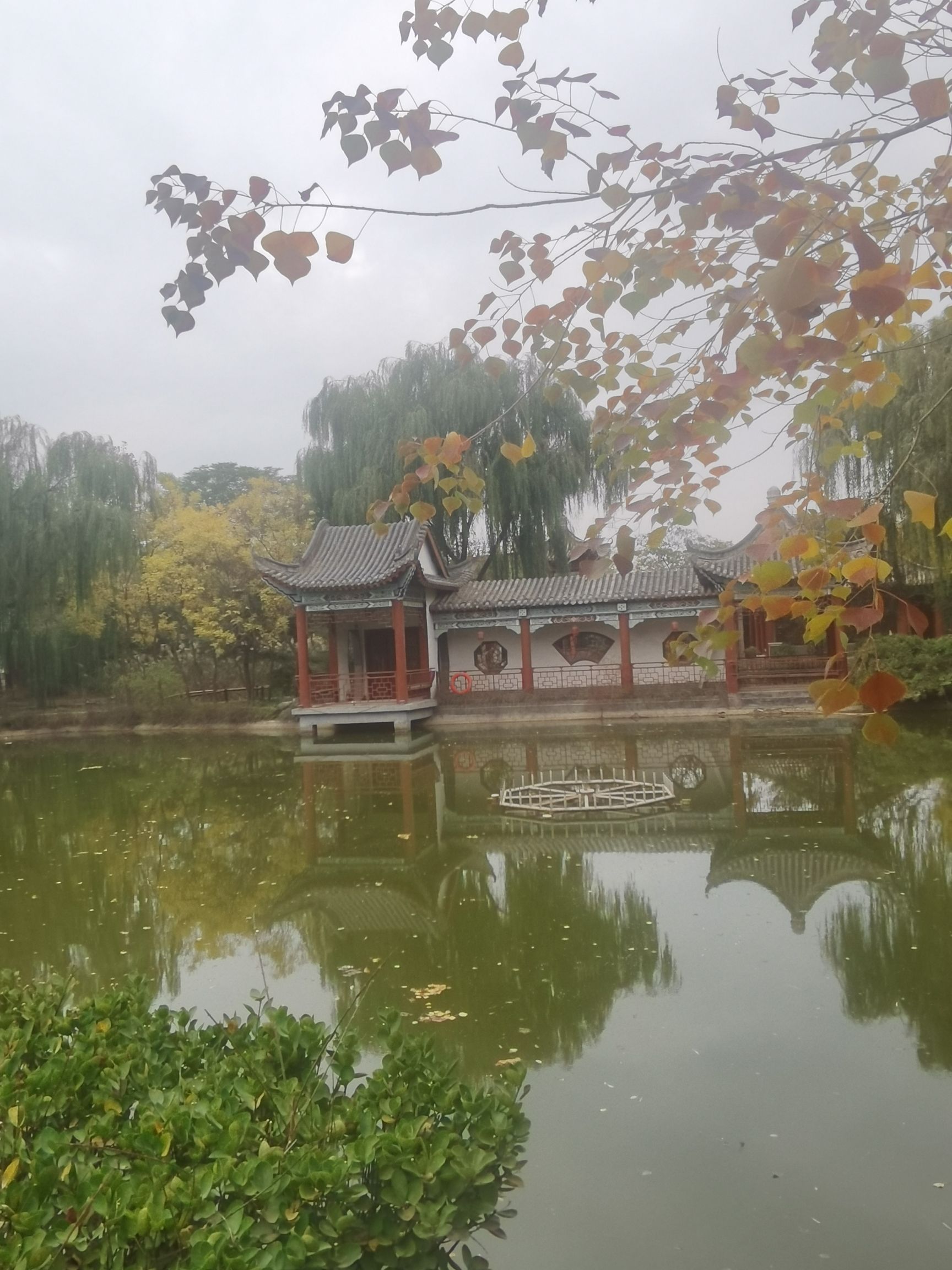 原阳县华宝文化园旅行图片 2