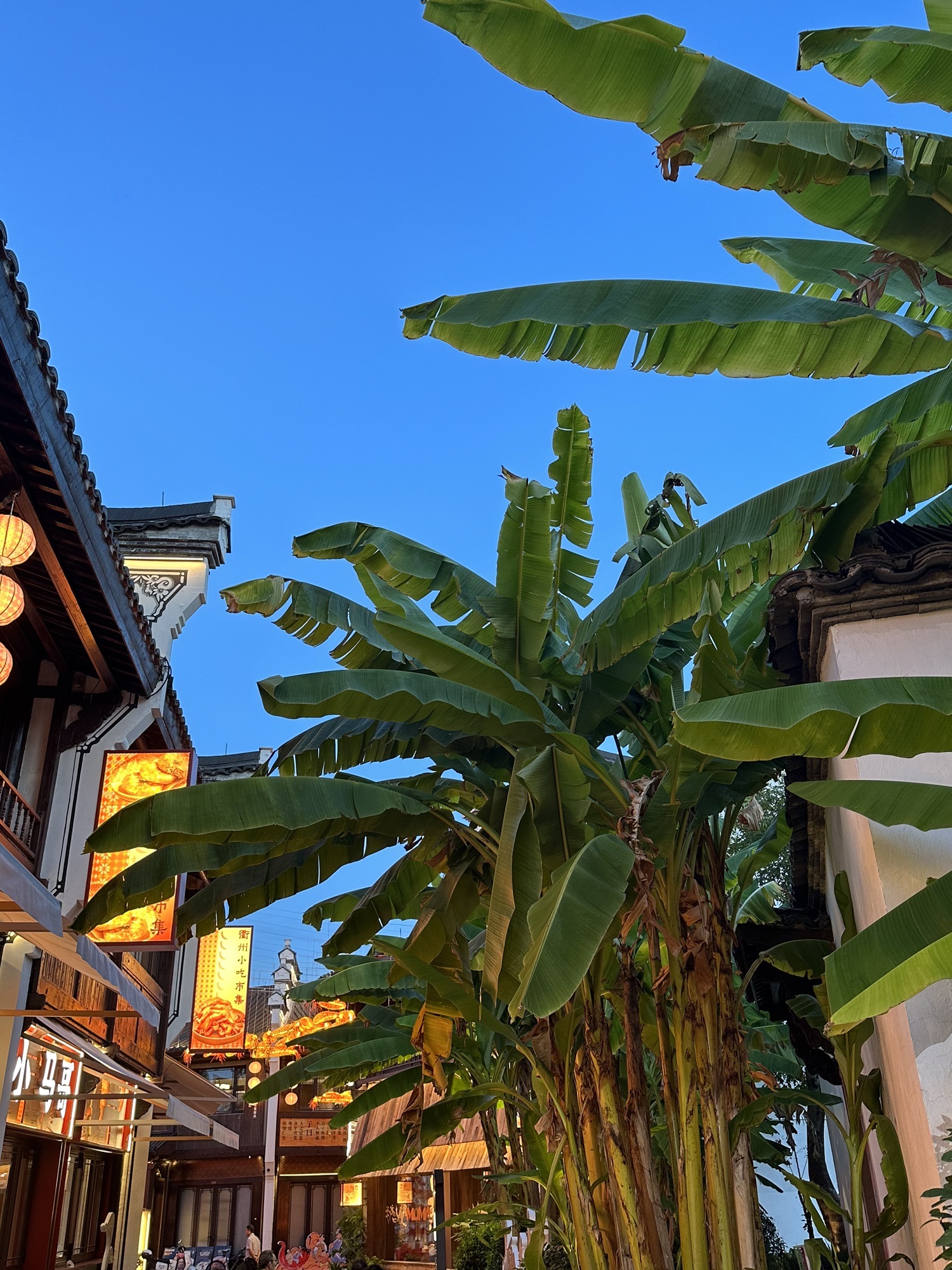 衢州古城文化旅游区旅行图片 2