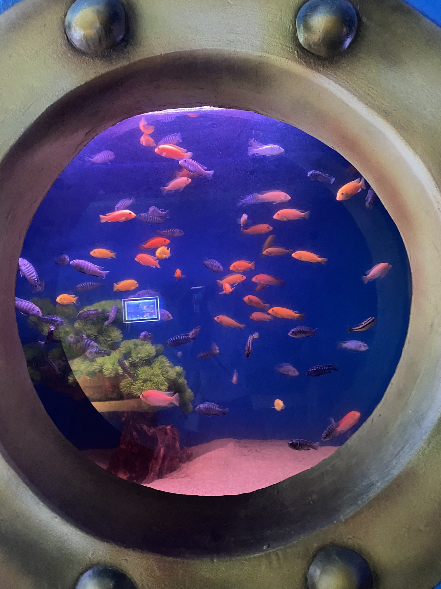 郸城海洋馆旅行图片 1