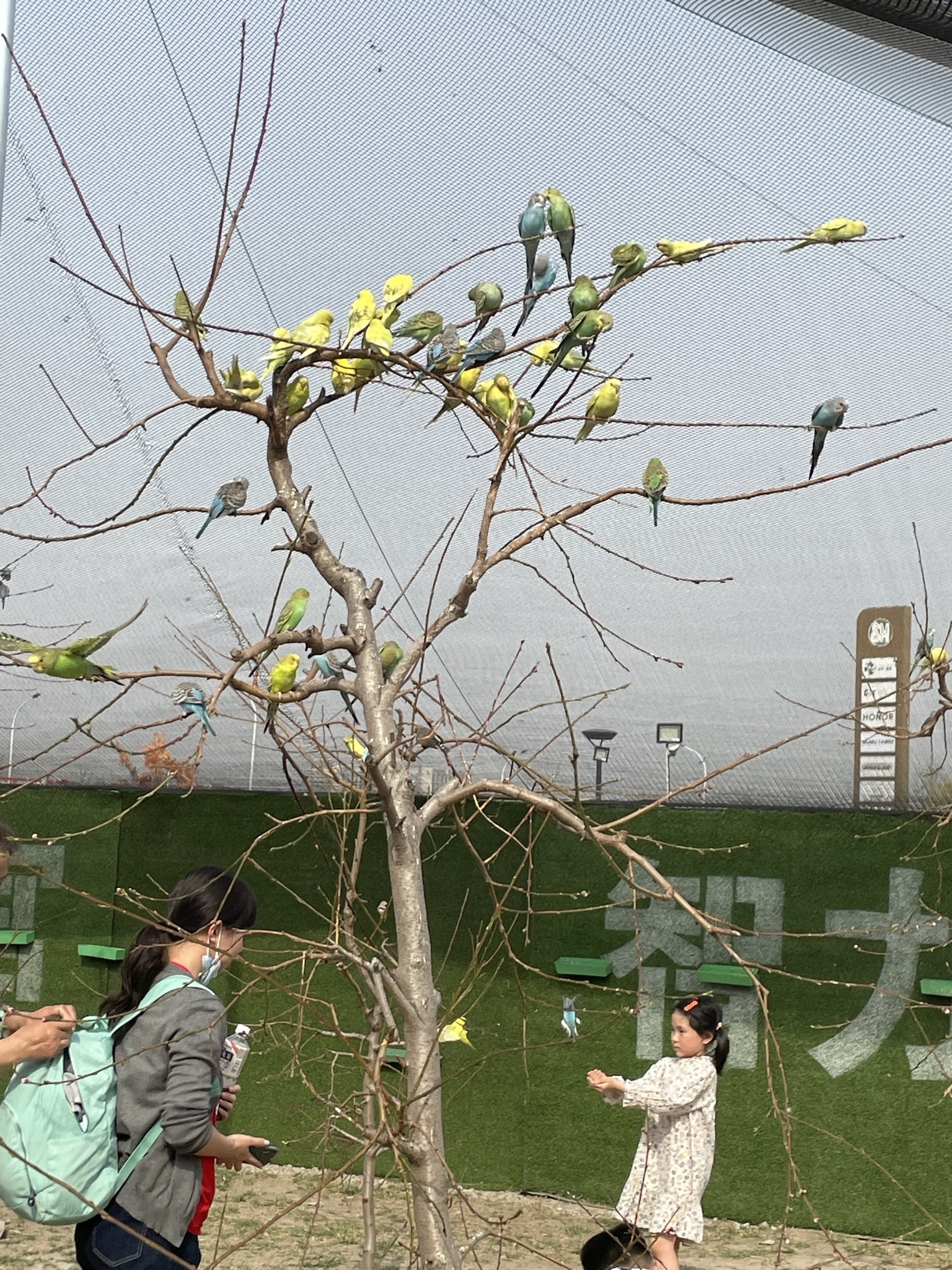 寻安鹿园旅行图片 1