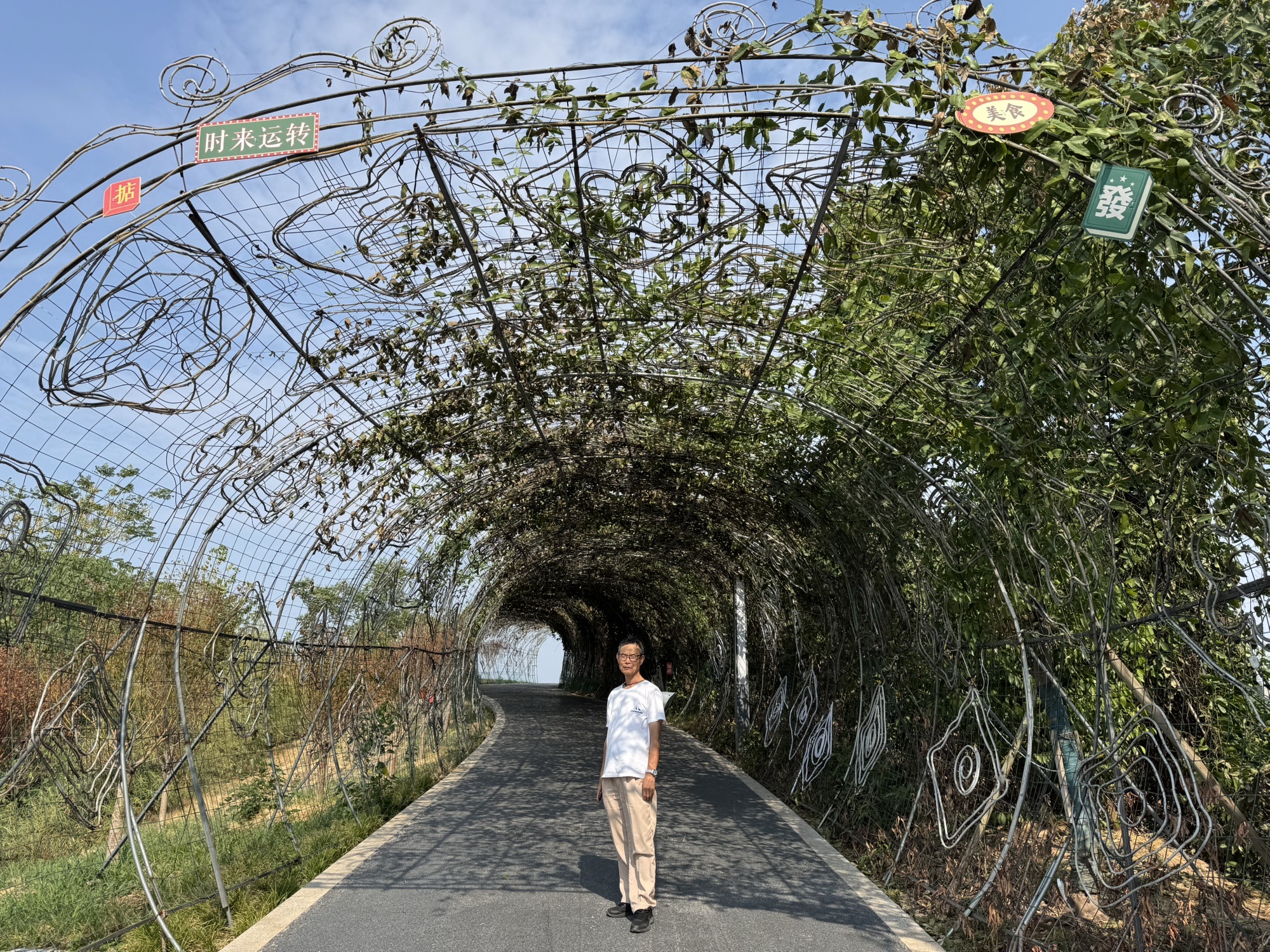 鱼城秋韵观景台旅行图片 2