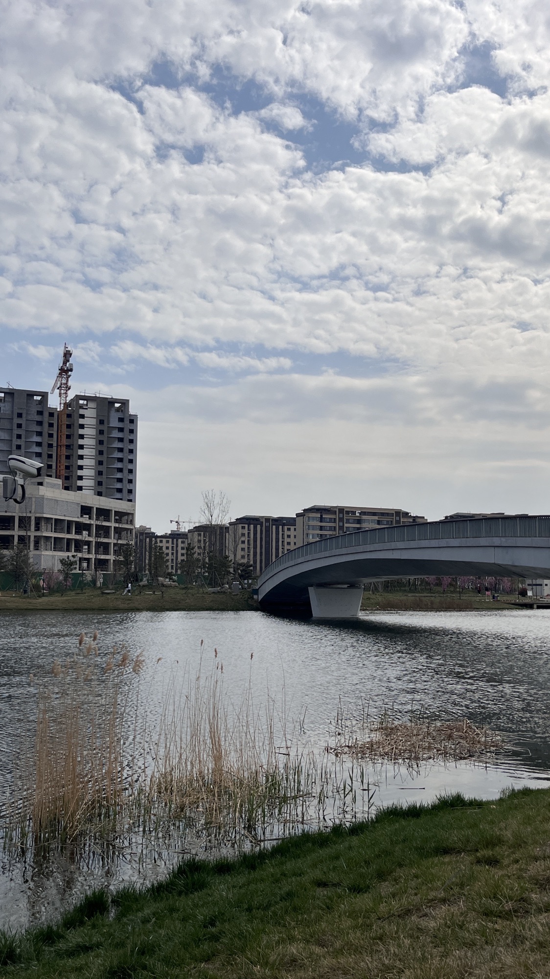 阳都城市客厅旅行图片 2