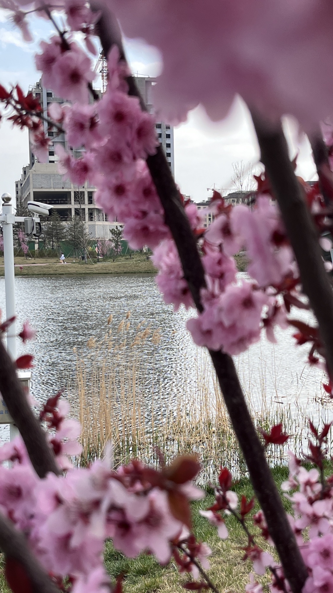 阳都城市客厅旅行图片 1