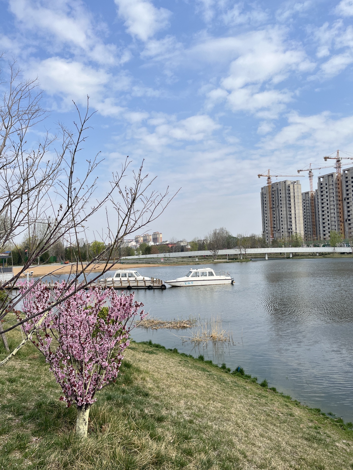 阳都城市客厅旅行图片 3