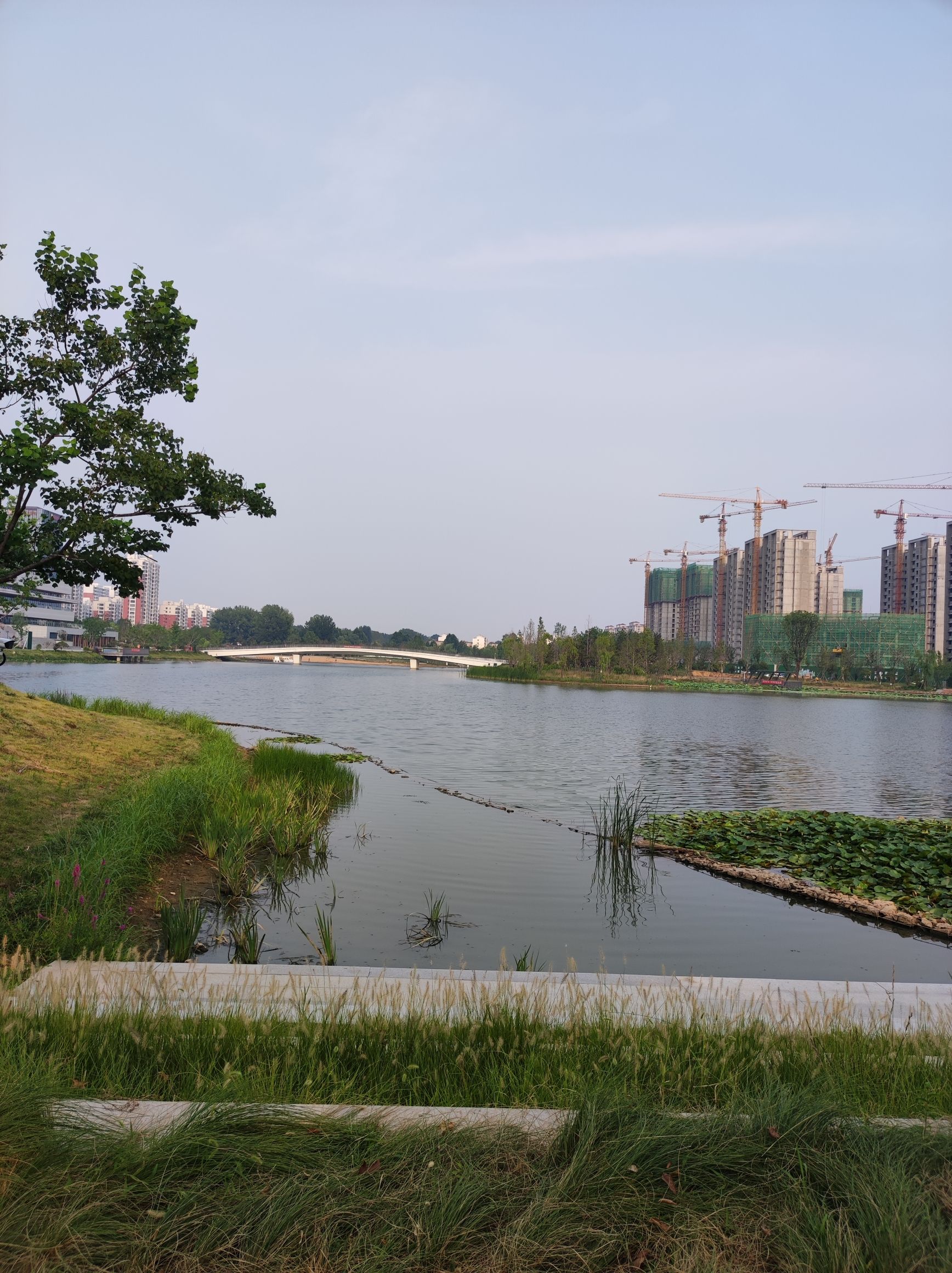 阳都城市客厅旅行图片 2