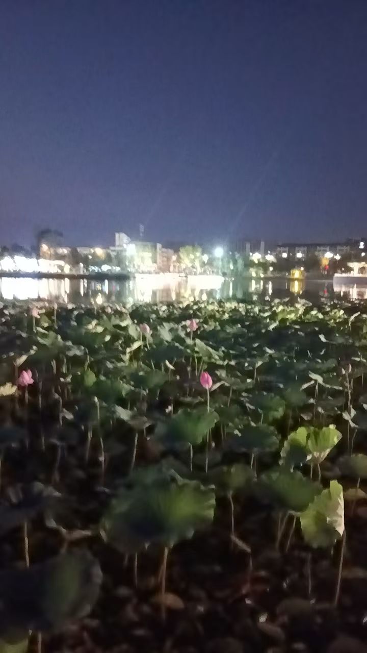 阳都城市客厅旅行图片 2