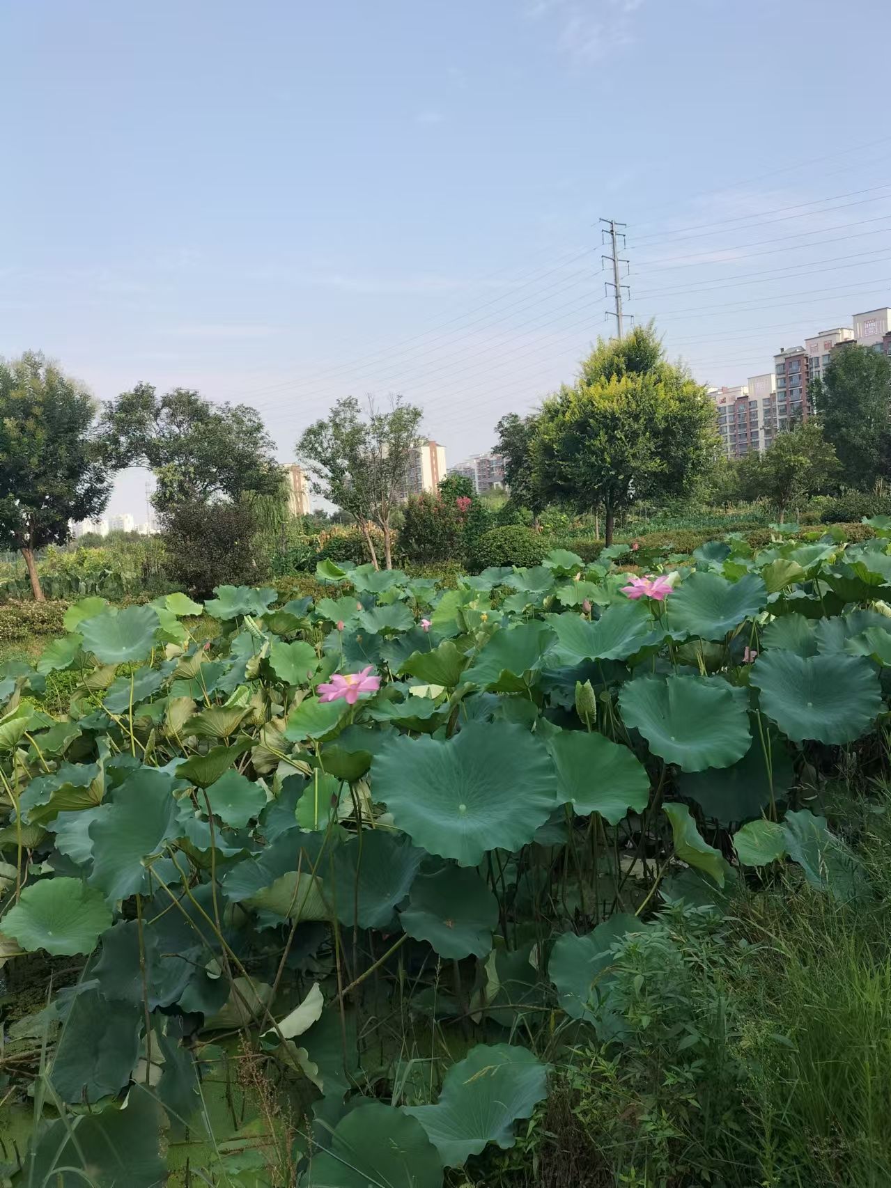 阳都城市客厅旅行图片 3