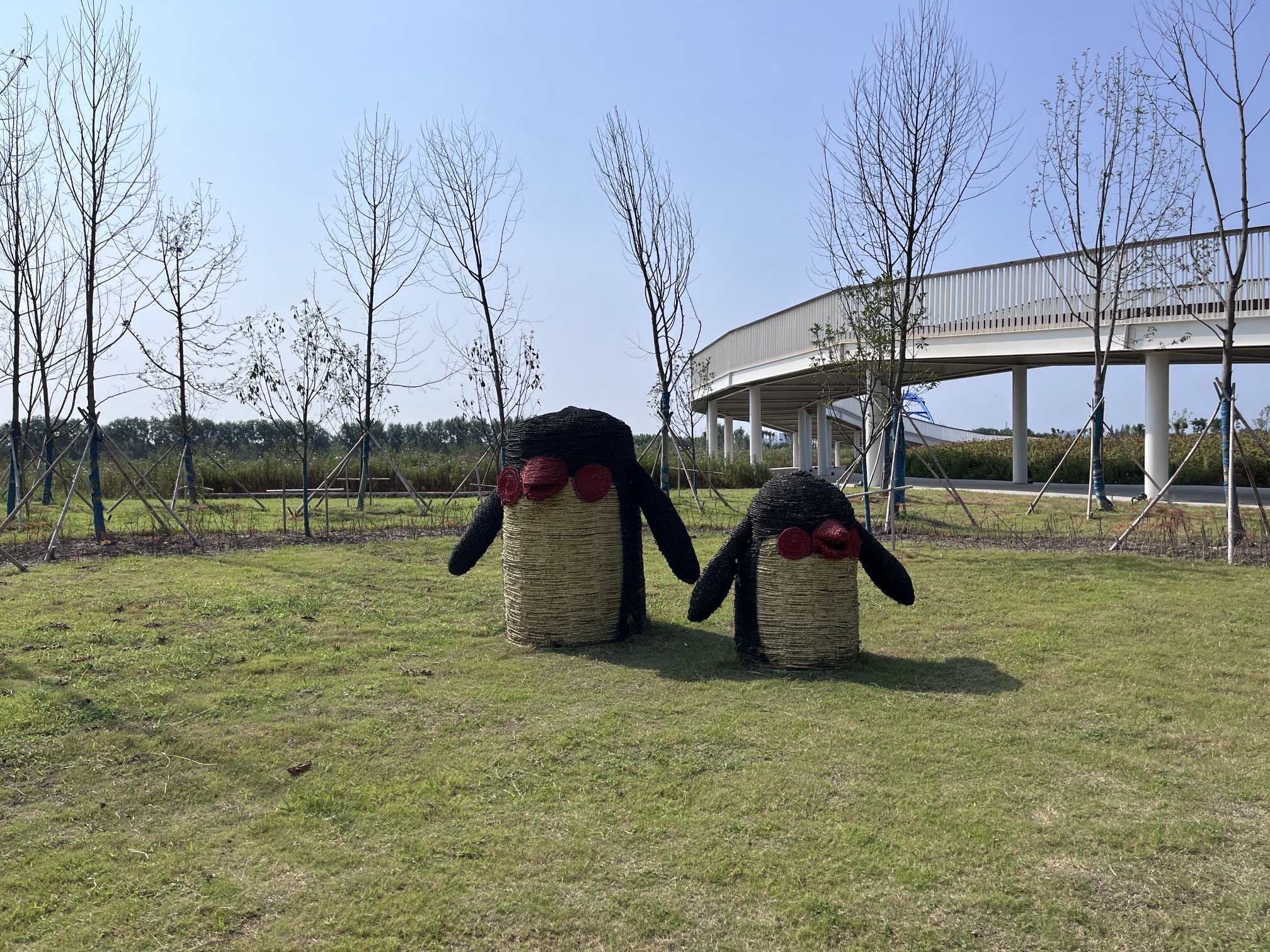 五龙口生态湿地公园旅行图片 2