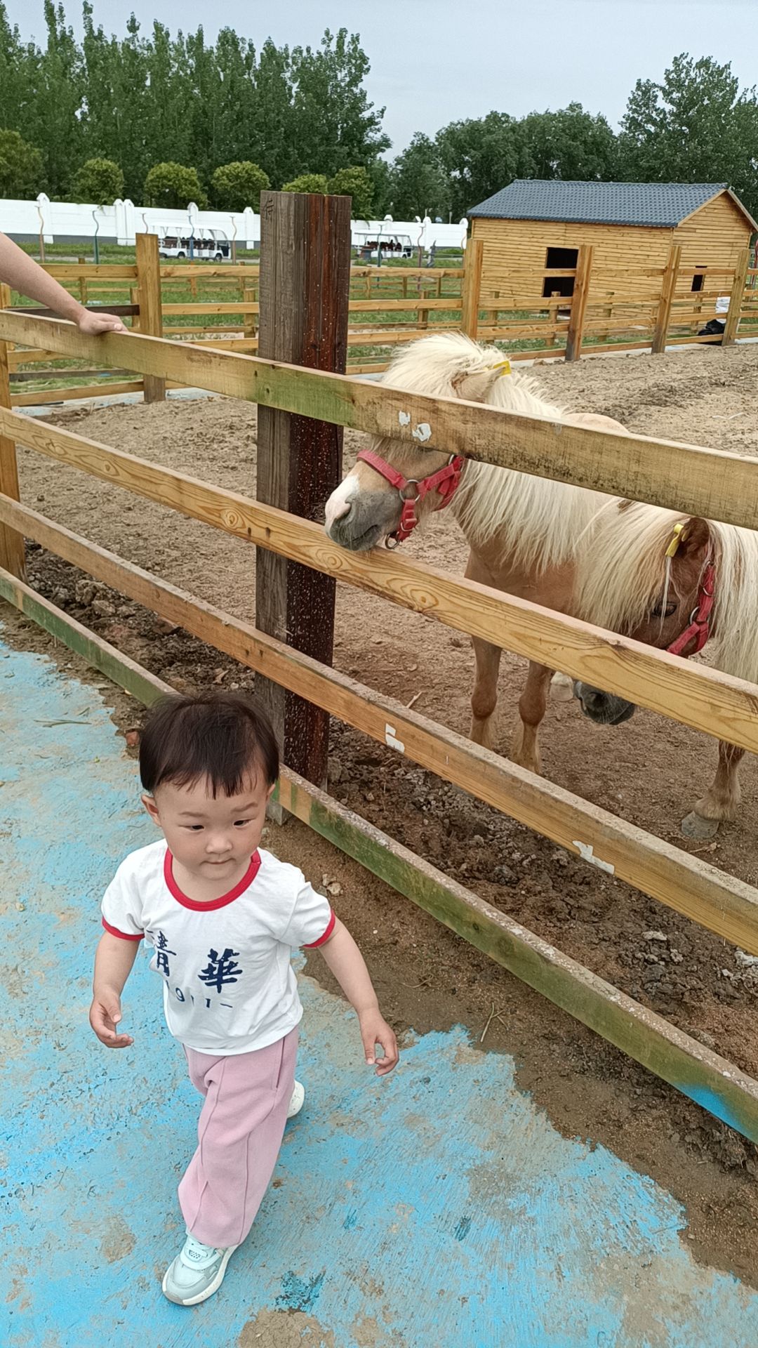 五龙口生态湿地公园旅行图片 2