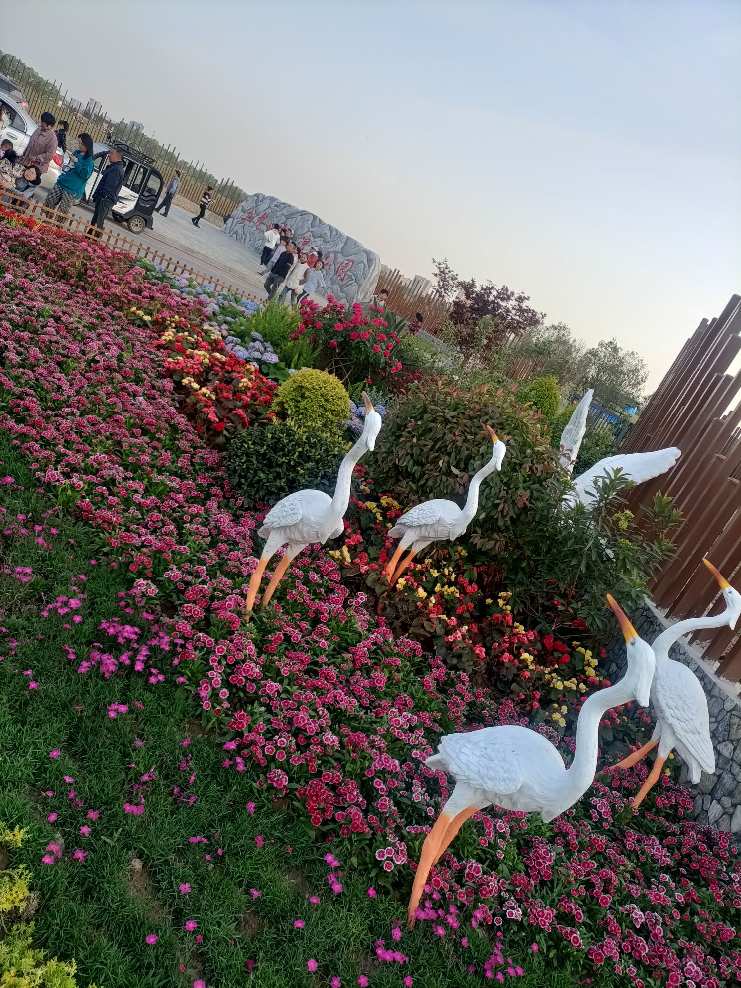 五龙口生态湿地公园旅行图片 1