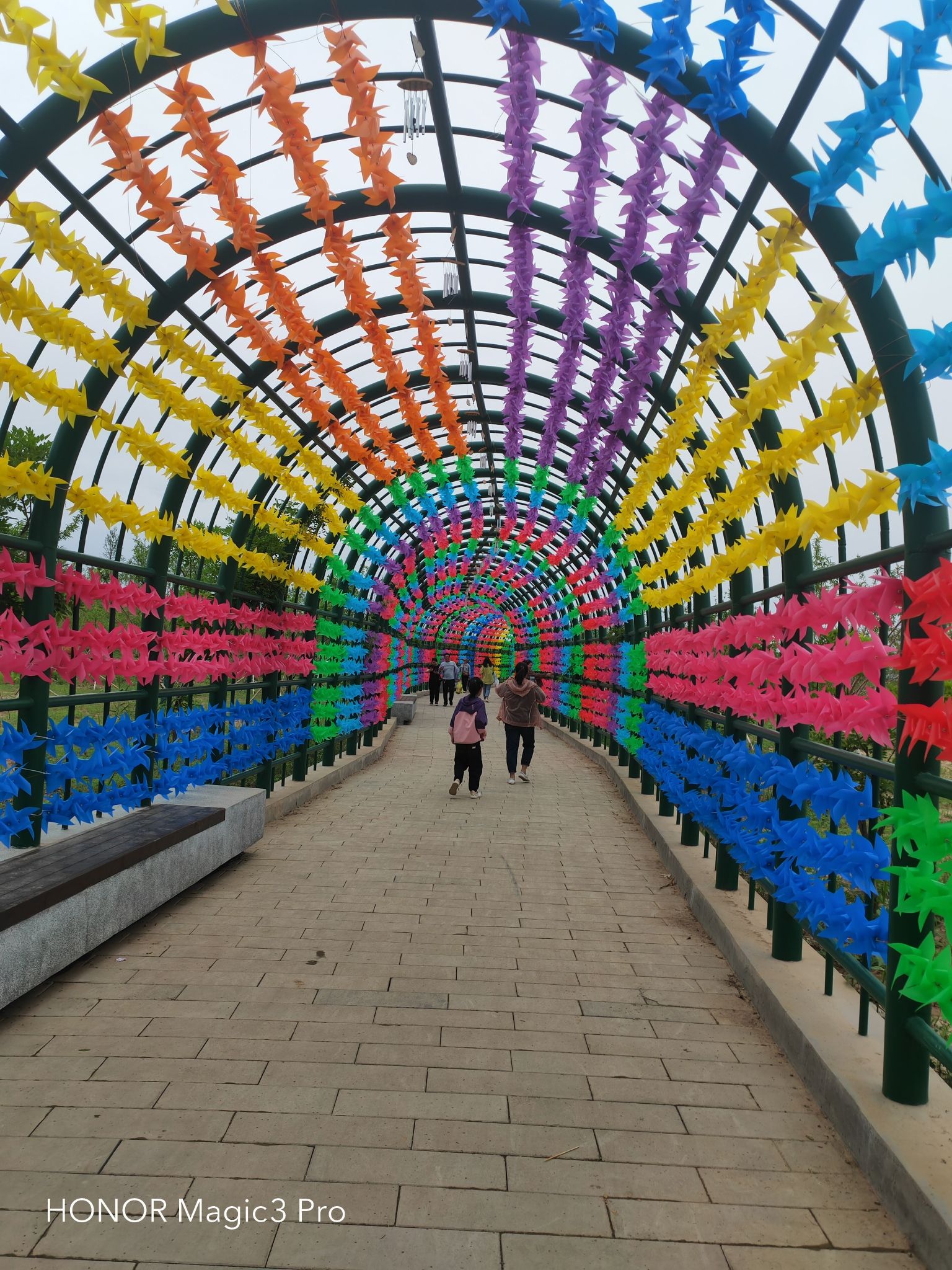 五龙口生态湿地公园旅行图片 1