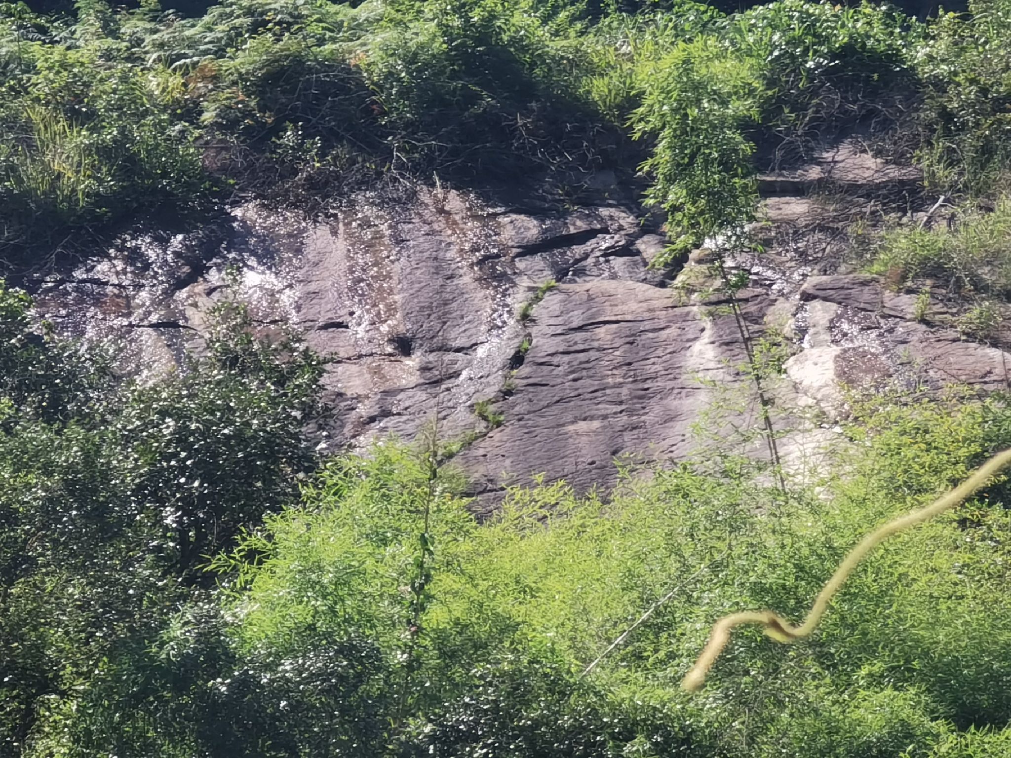 南阳桥摩崖石刻旅行图片 1