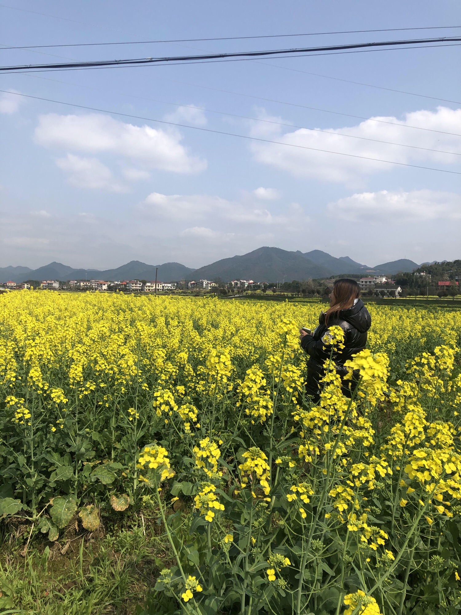 锁石花之缘景区旅行图片 1