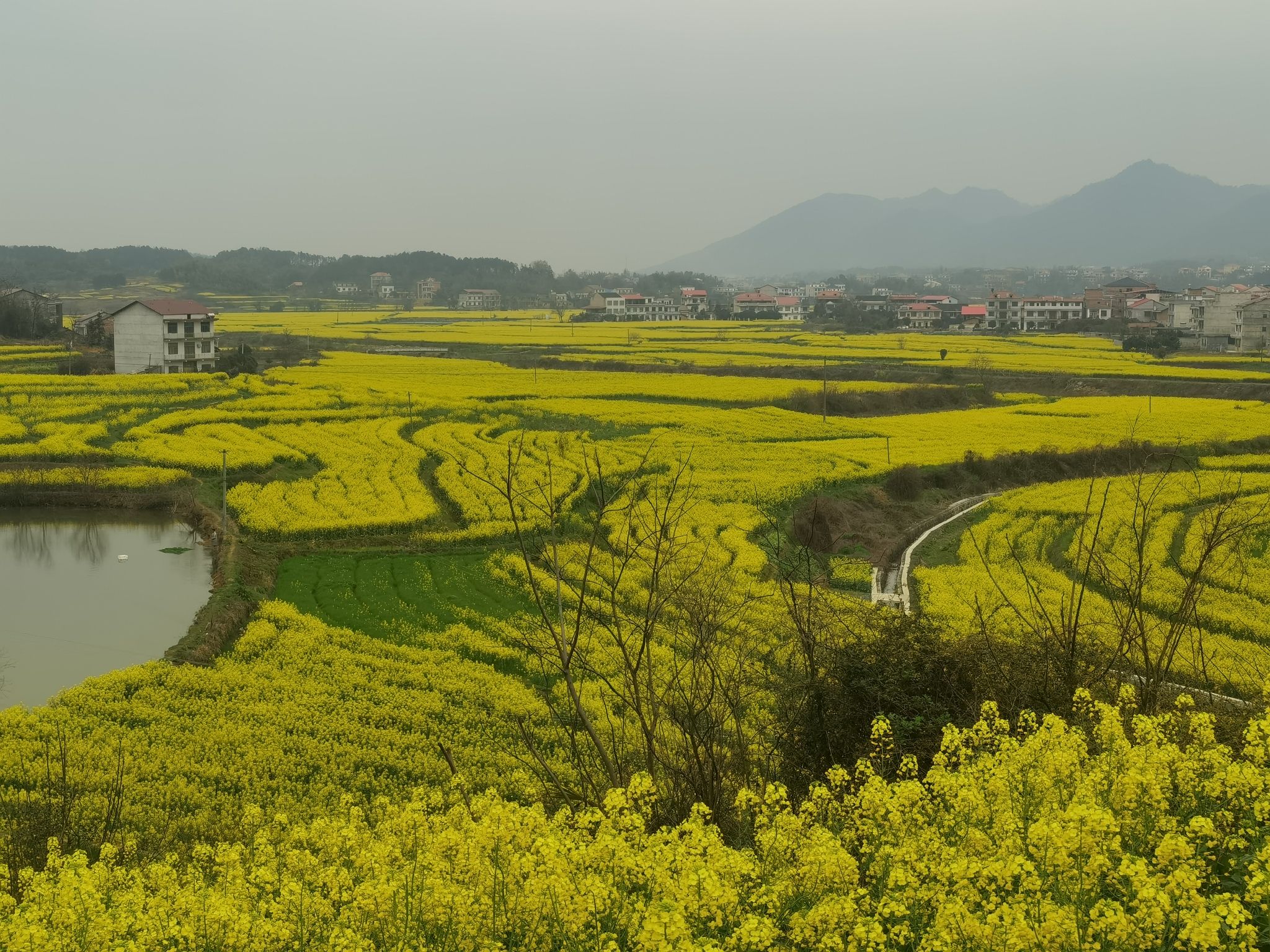 锁石花之缘景区旅行图片 2