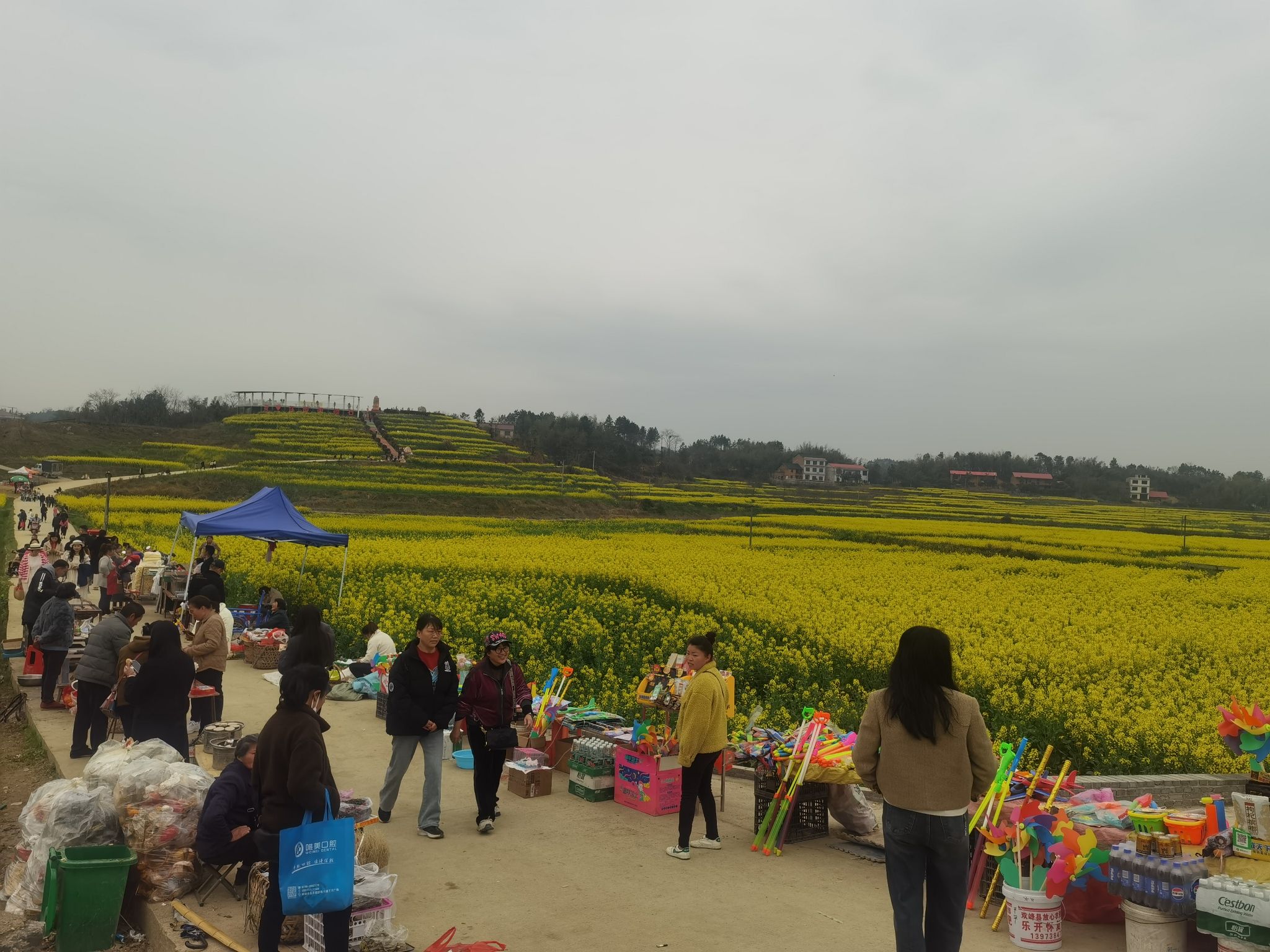 锁石花之缘景区旅行图片 1