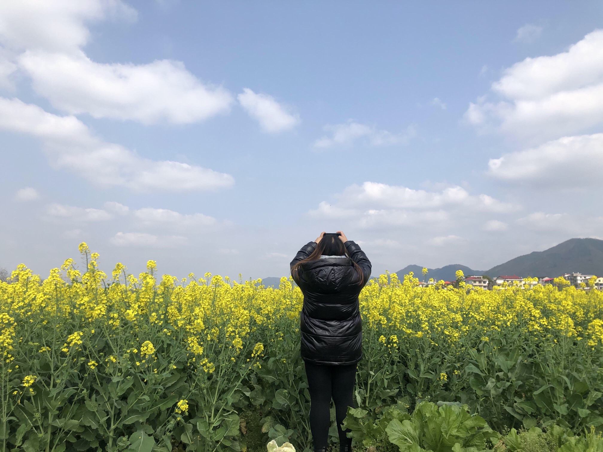 锁石花之缘景区旅行图片 3