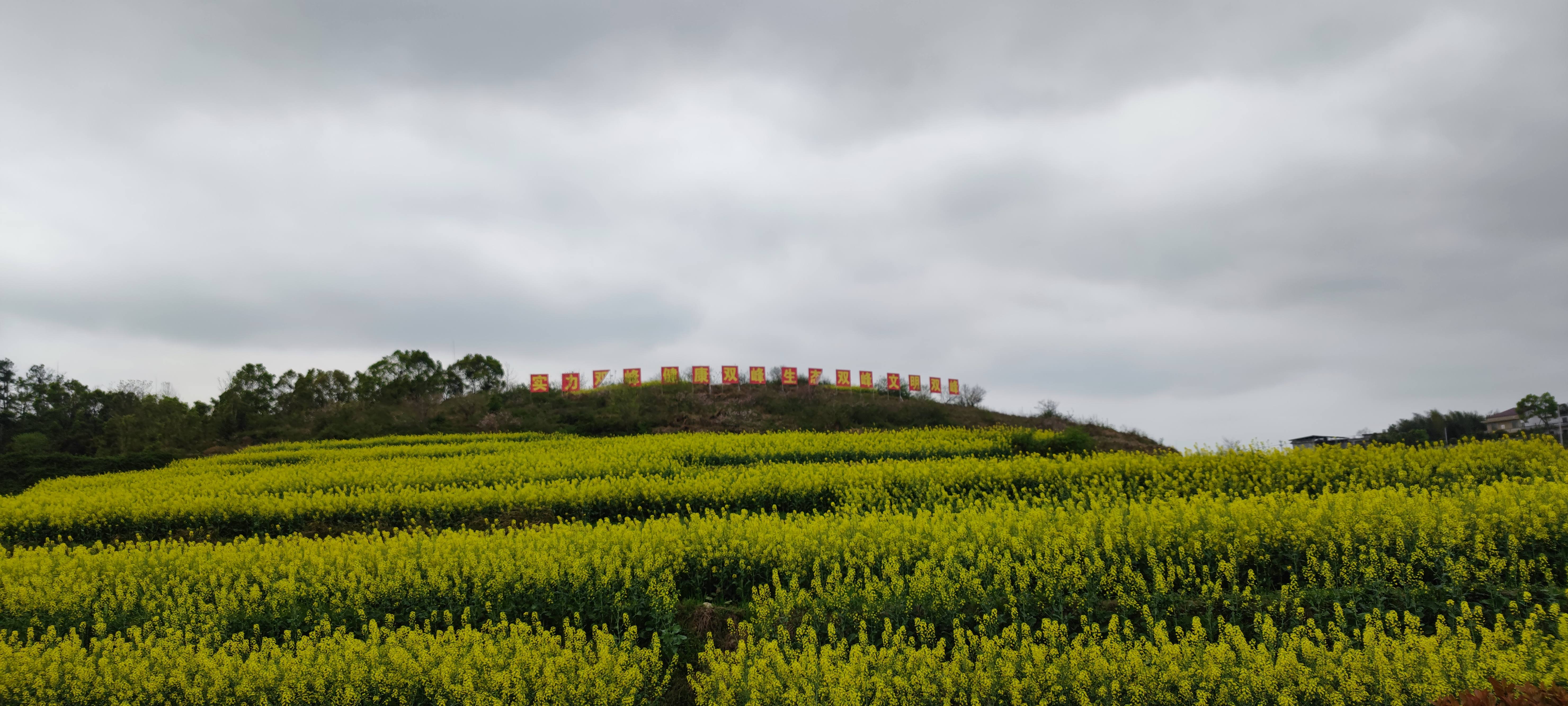 锁石花之缘景区旅行图片 2