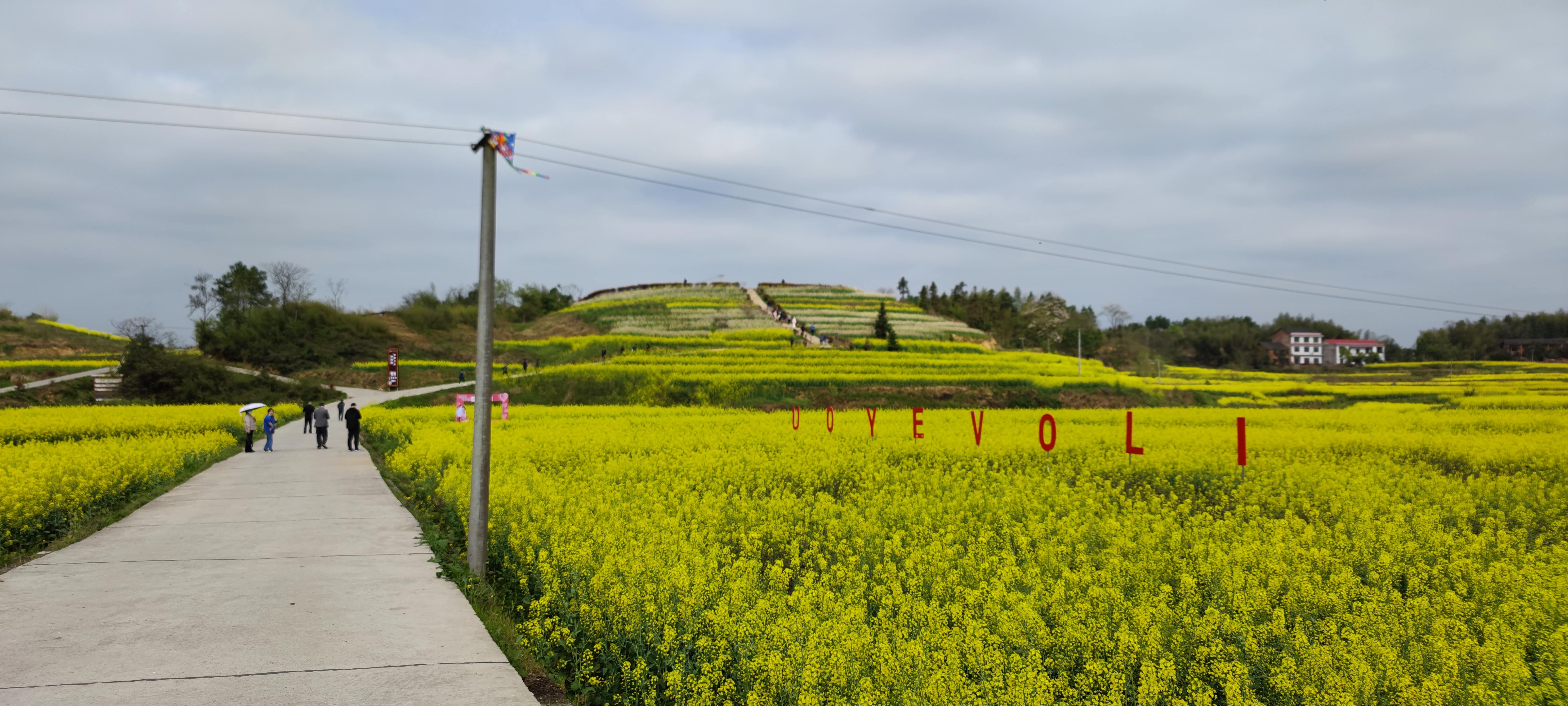 锁石花之缘景区旅行图片 1