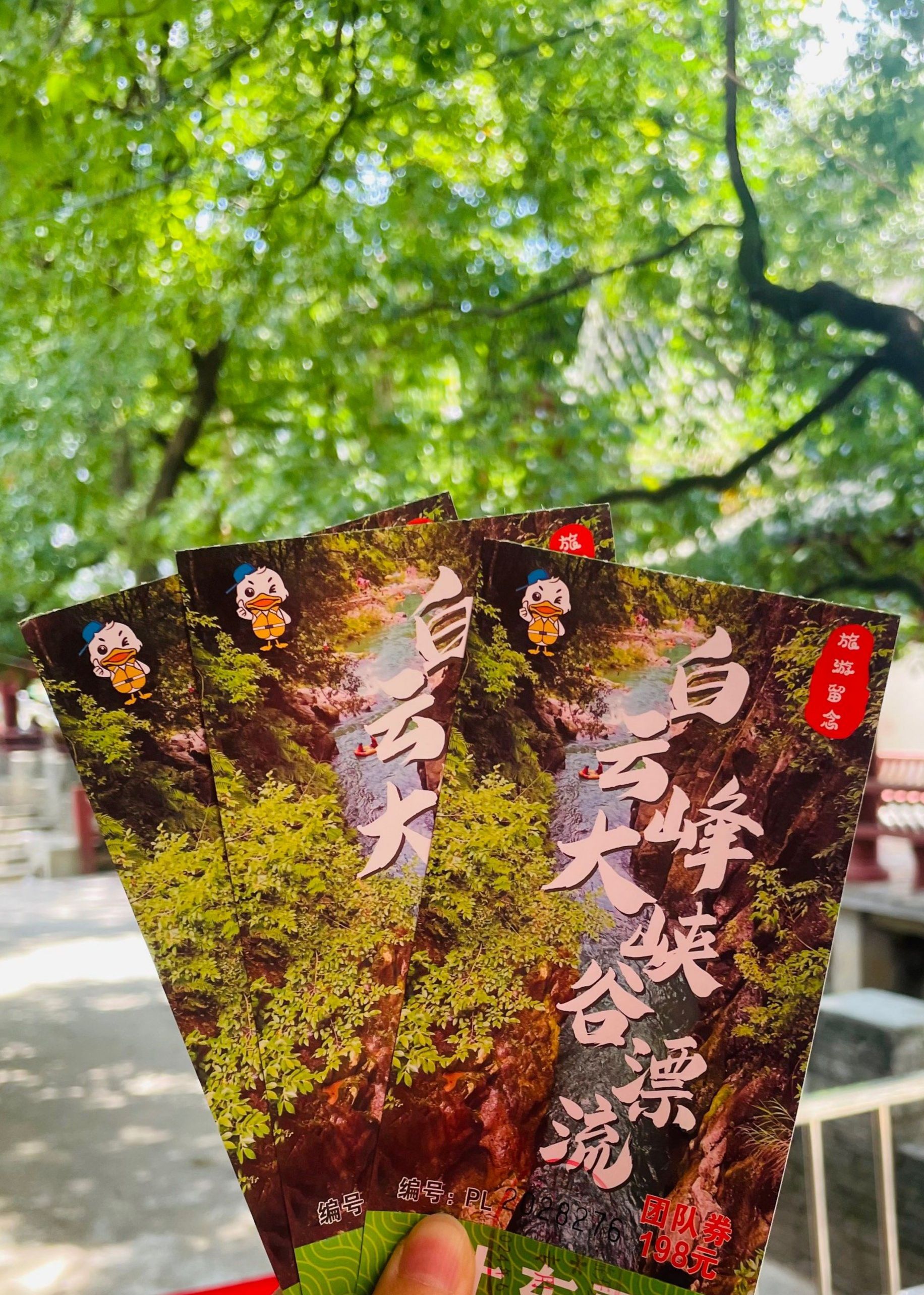 白云峰旅行图片 1